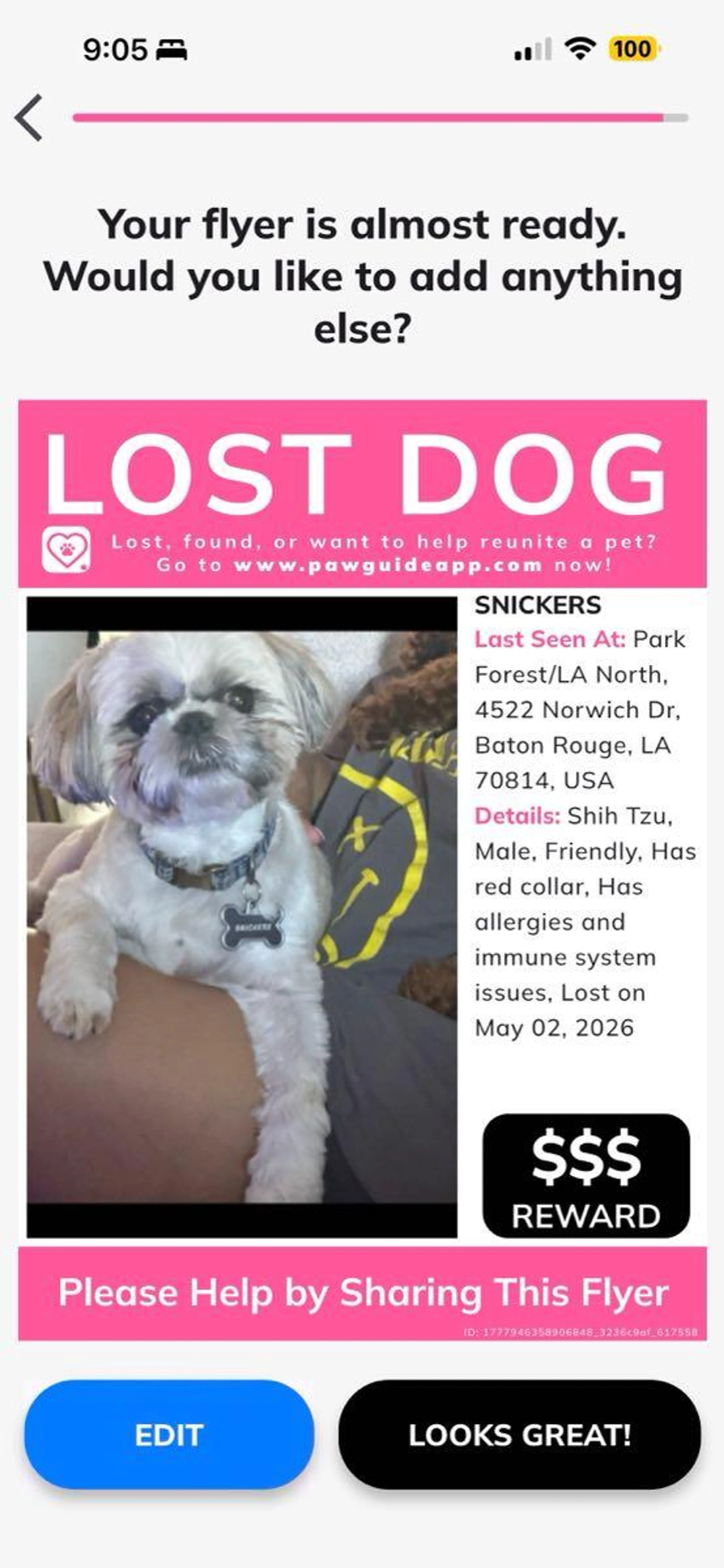 Lost pet