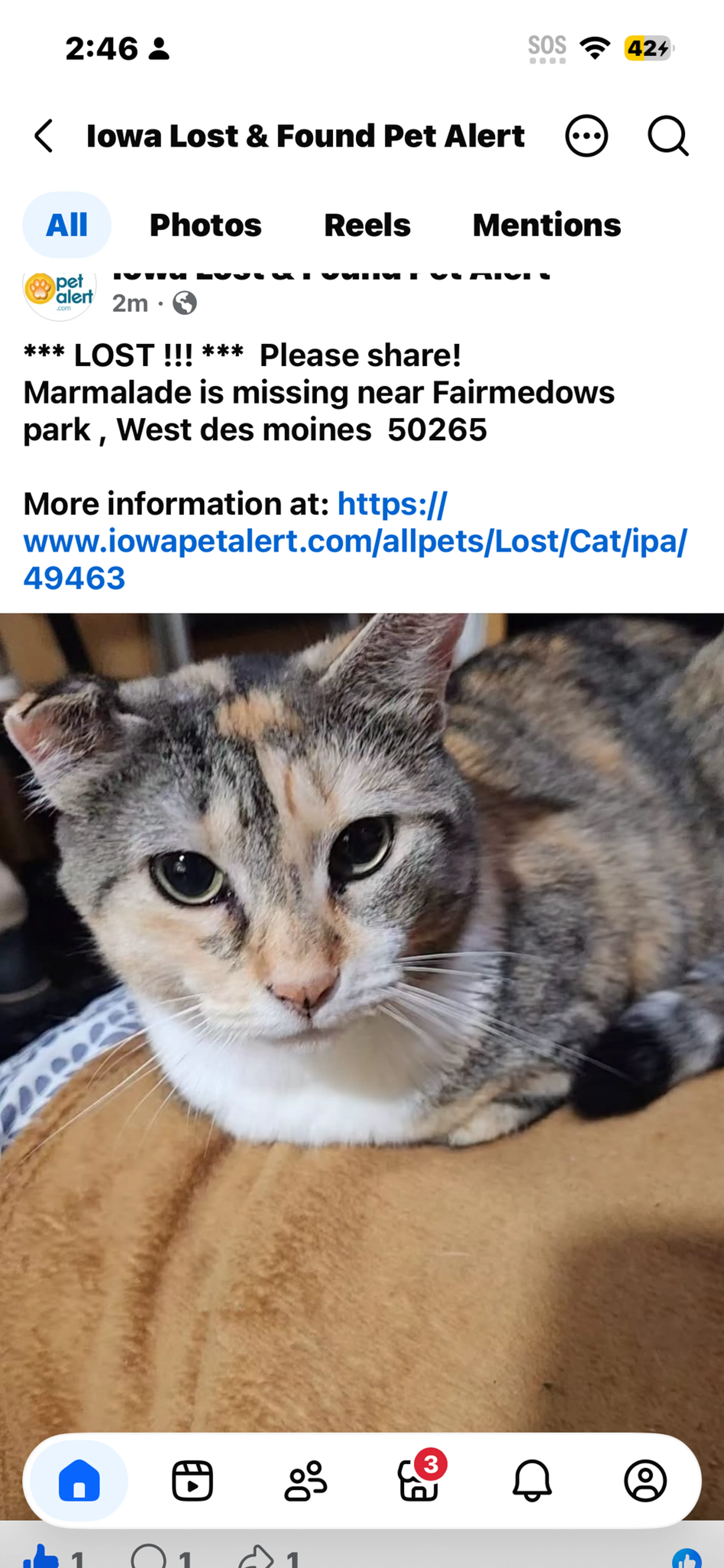 cdn image