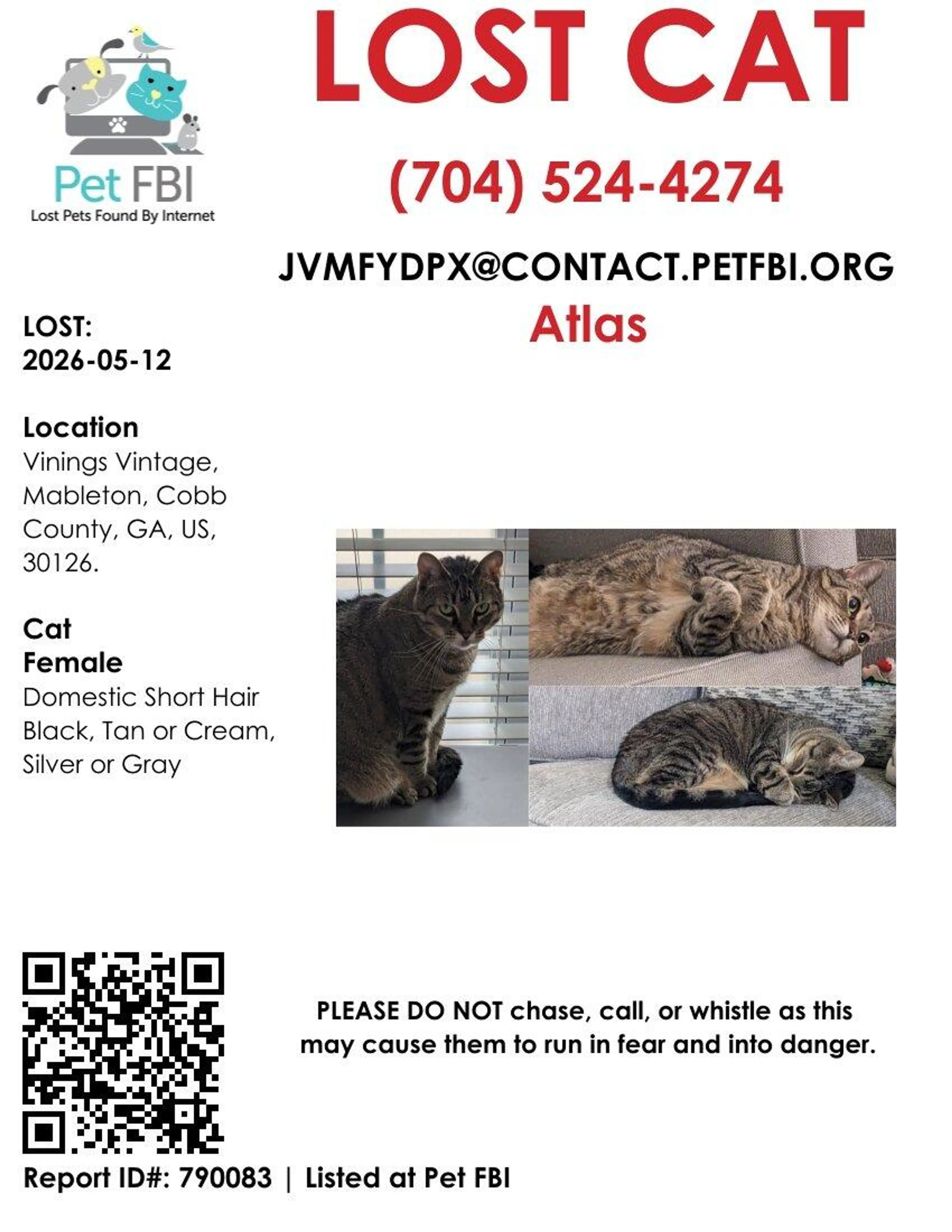 Lost pet