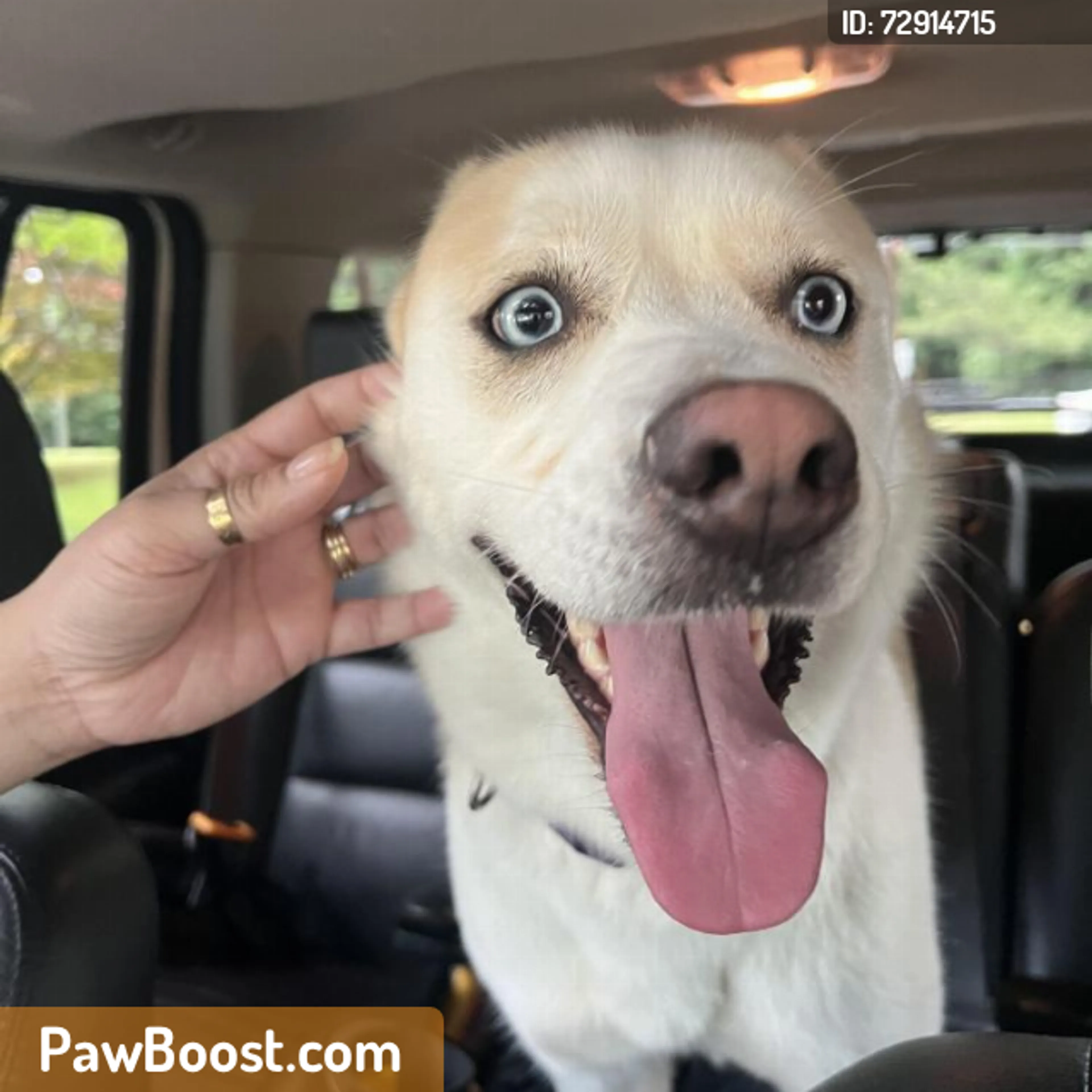 cdn image