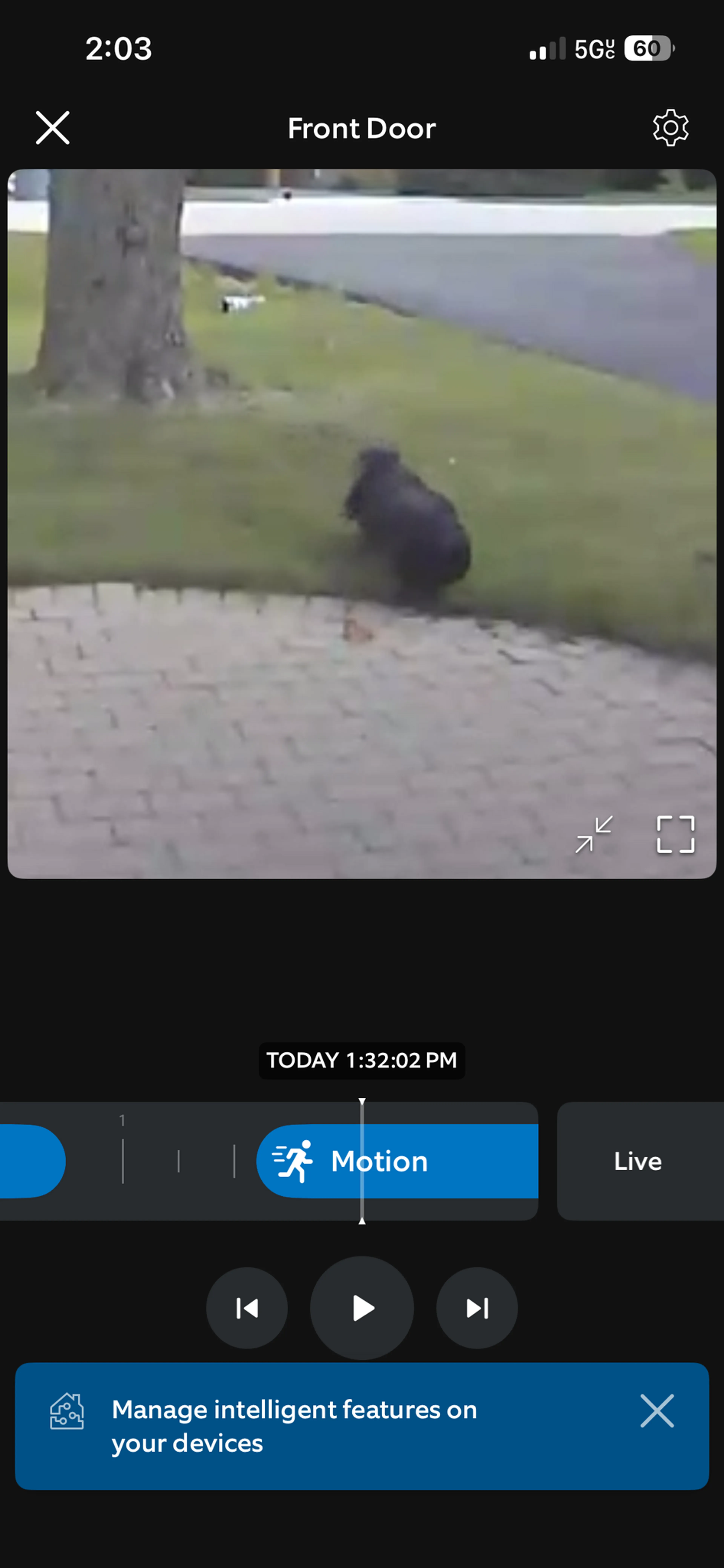 cdn image