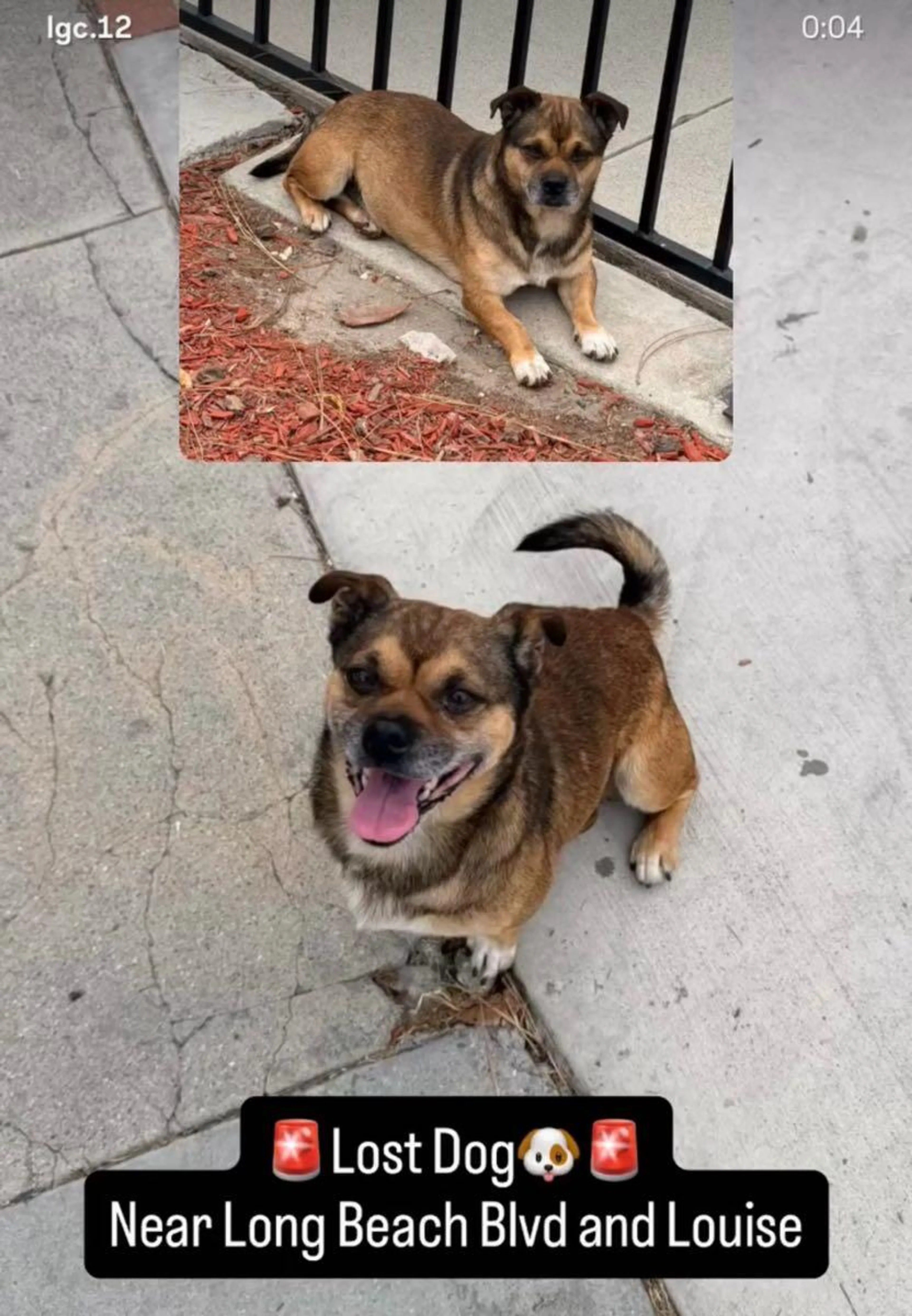 cdn image