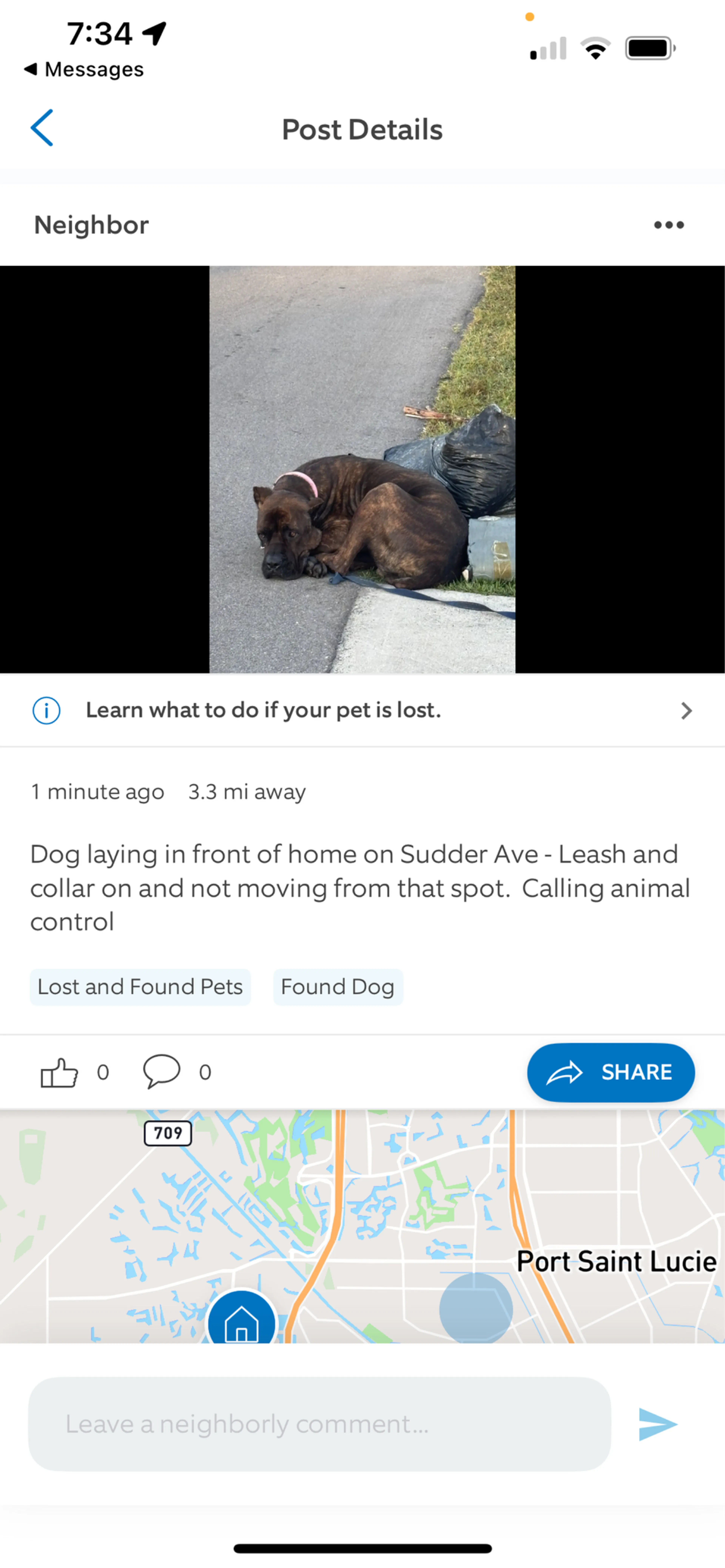 Lost pet