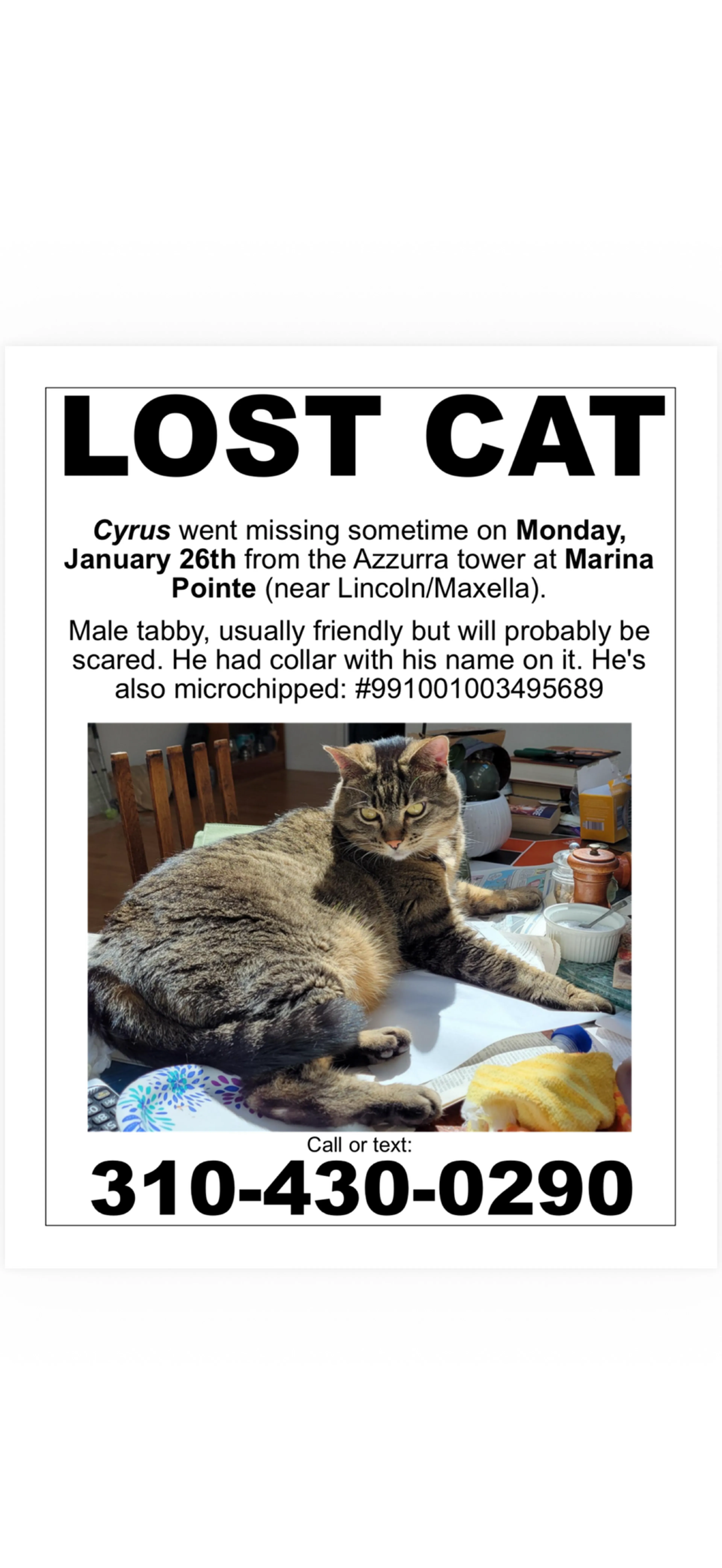 Lost pet