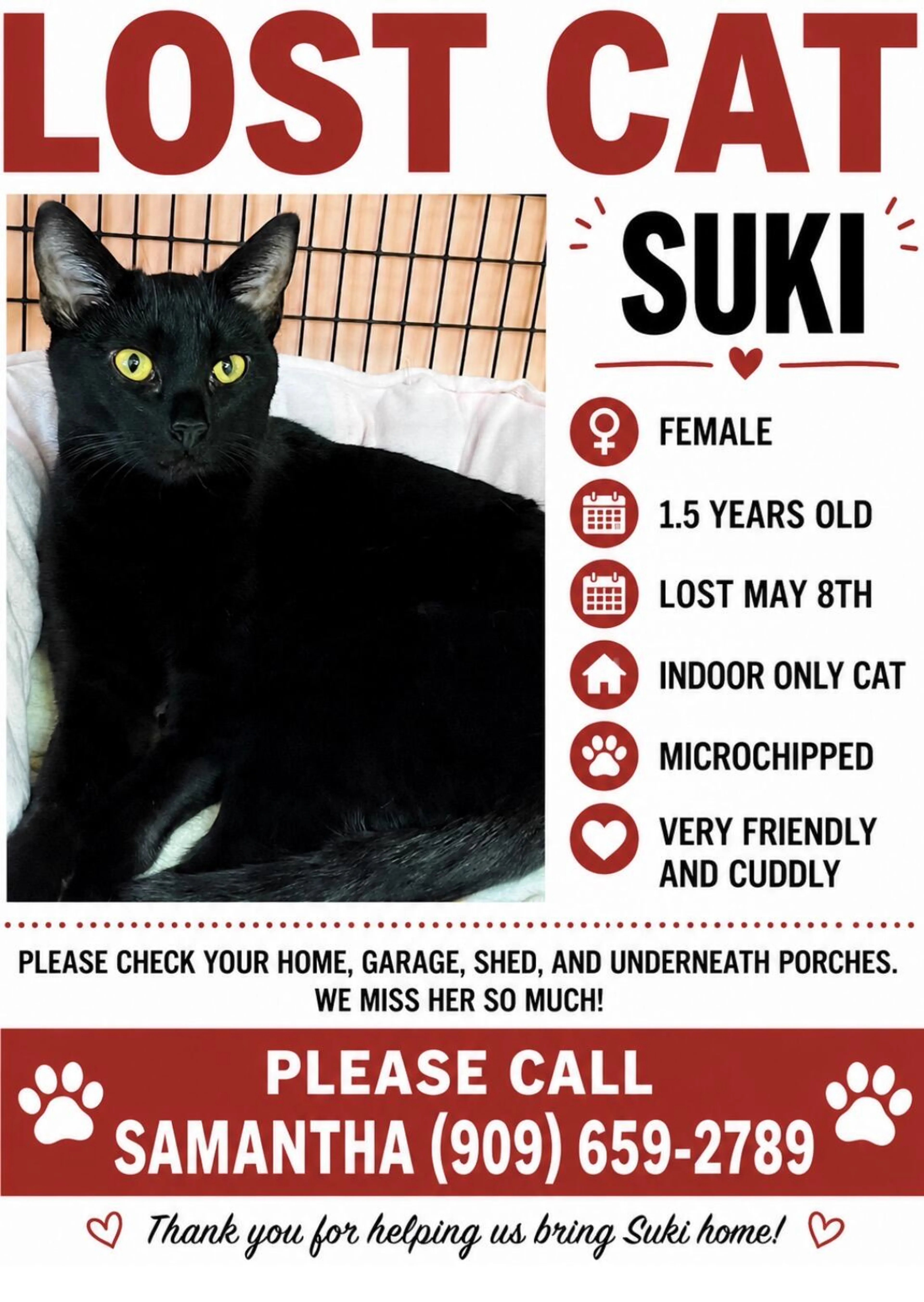 Lost pet
