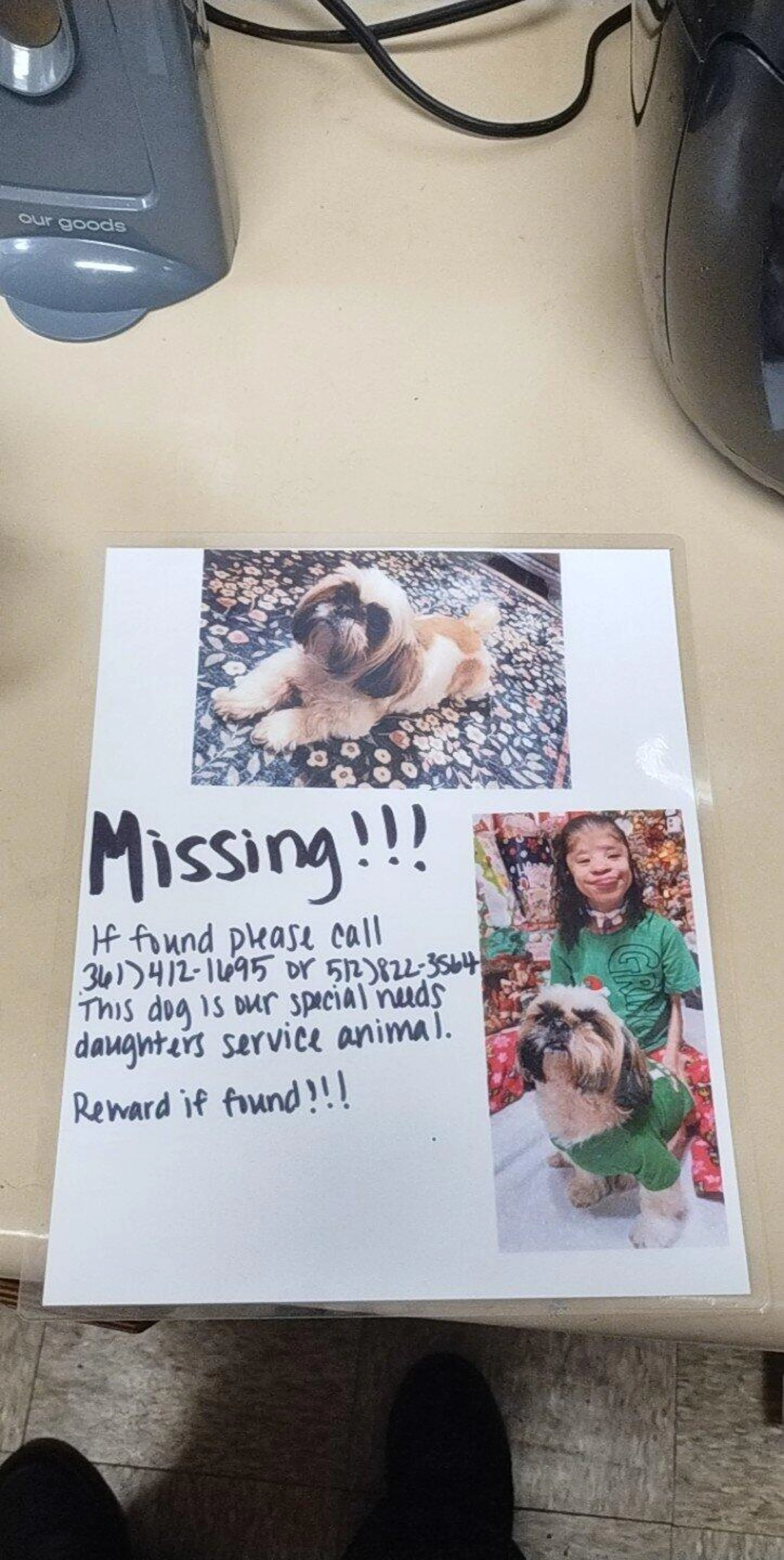Lost pet