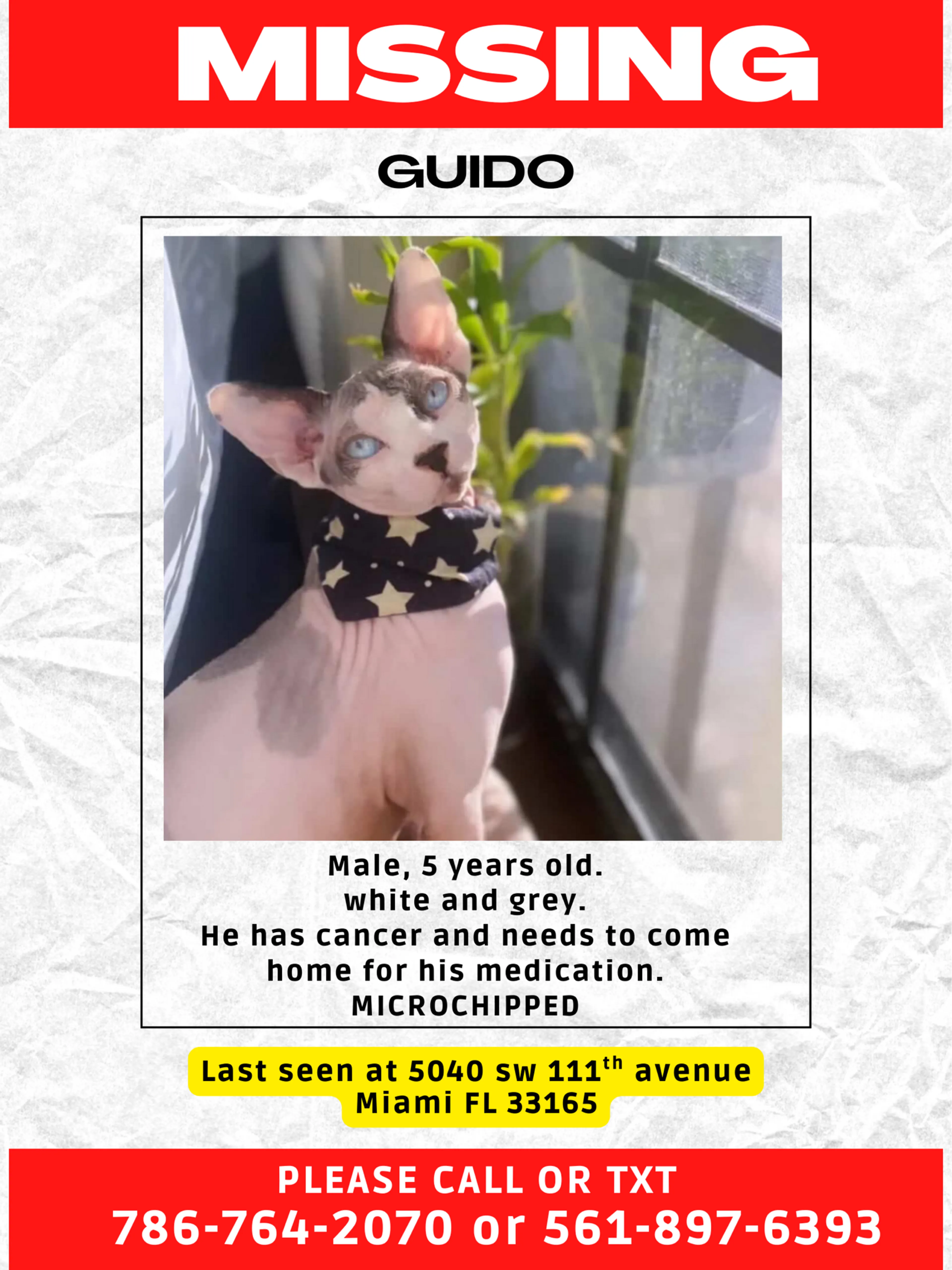 Lost pet