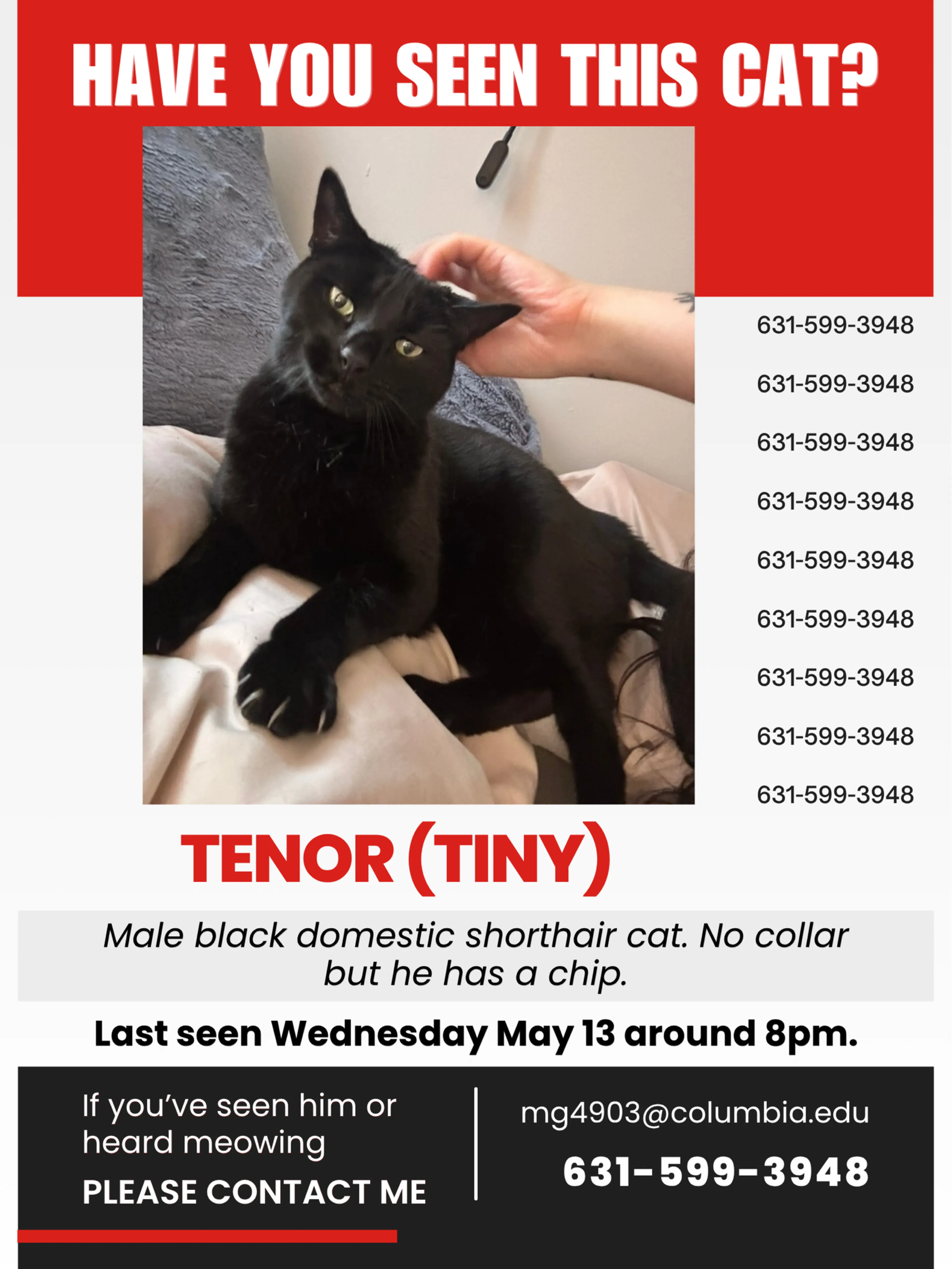 Lost pet