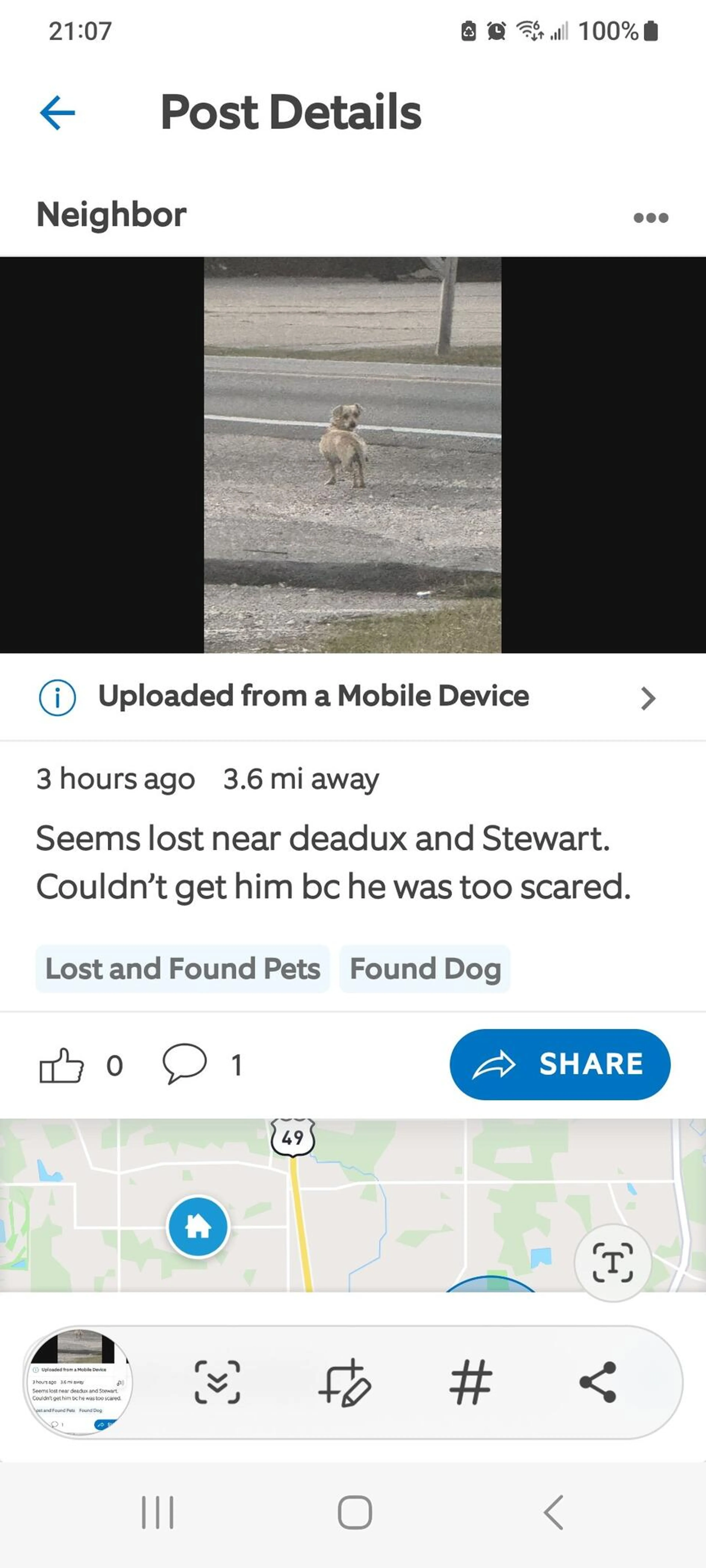 Found pet
