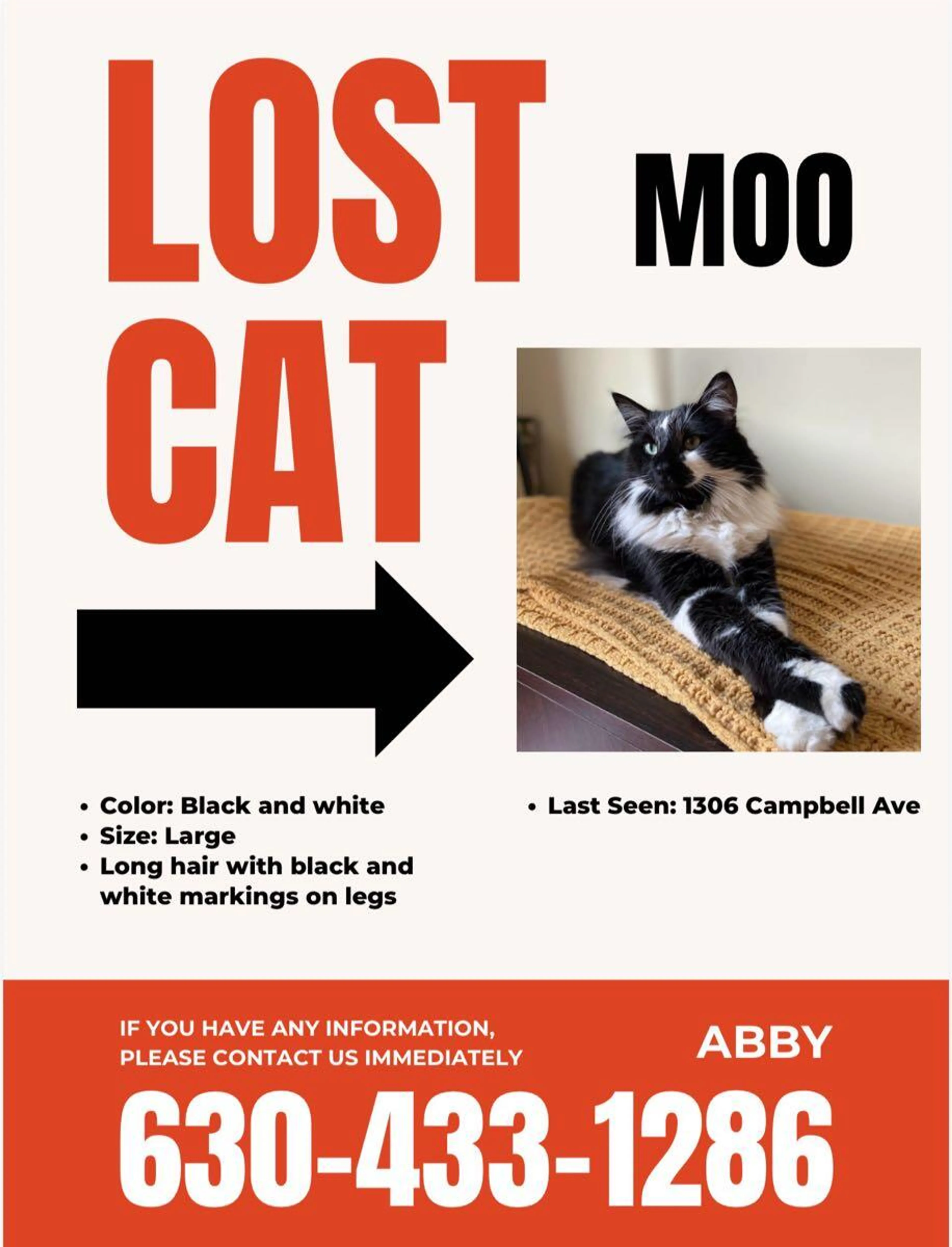 Lost pet