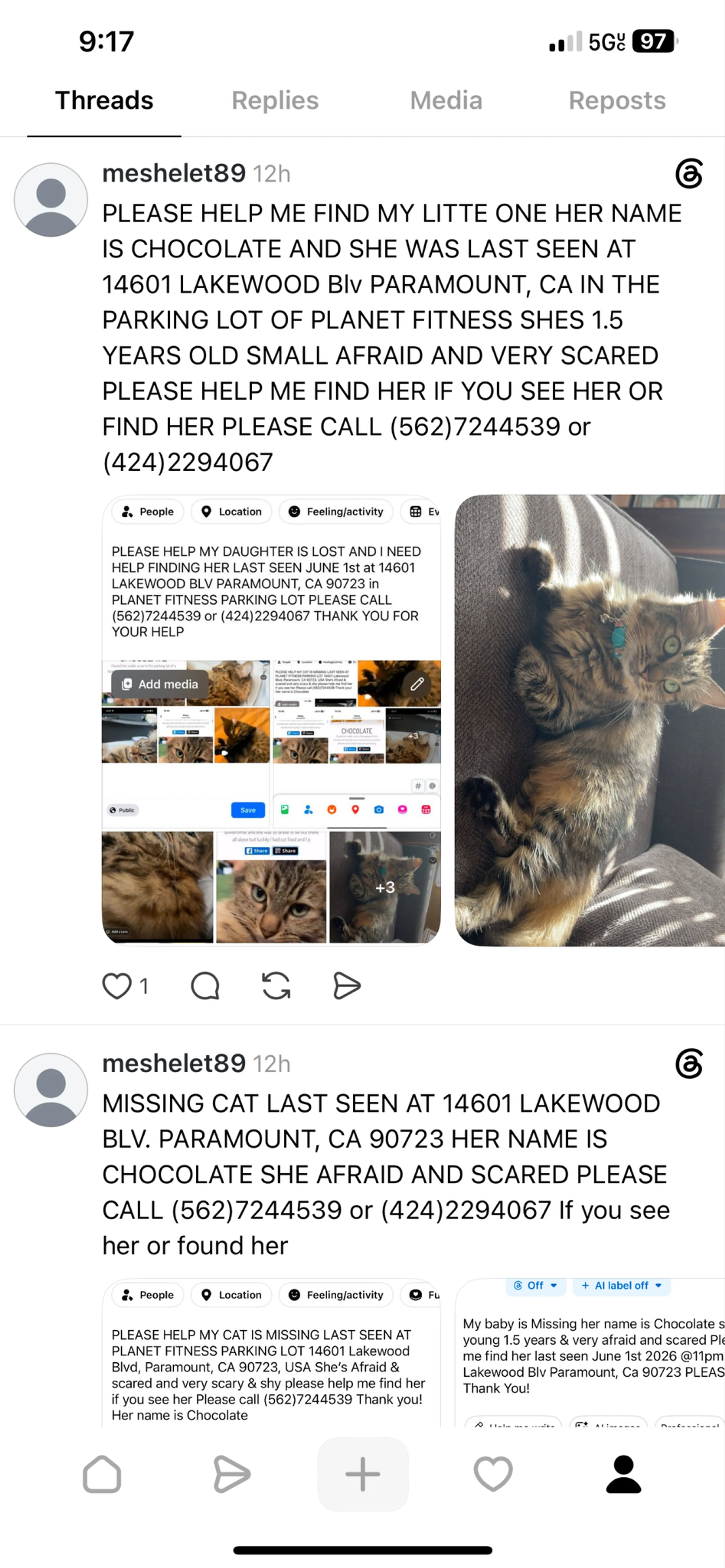 cdn image