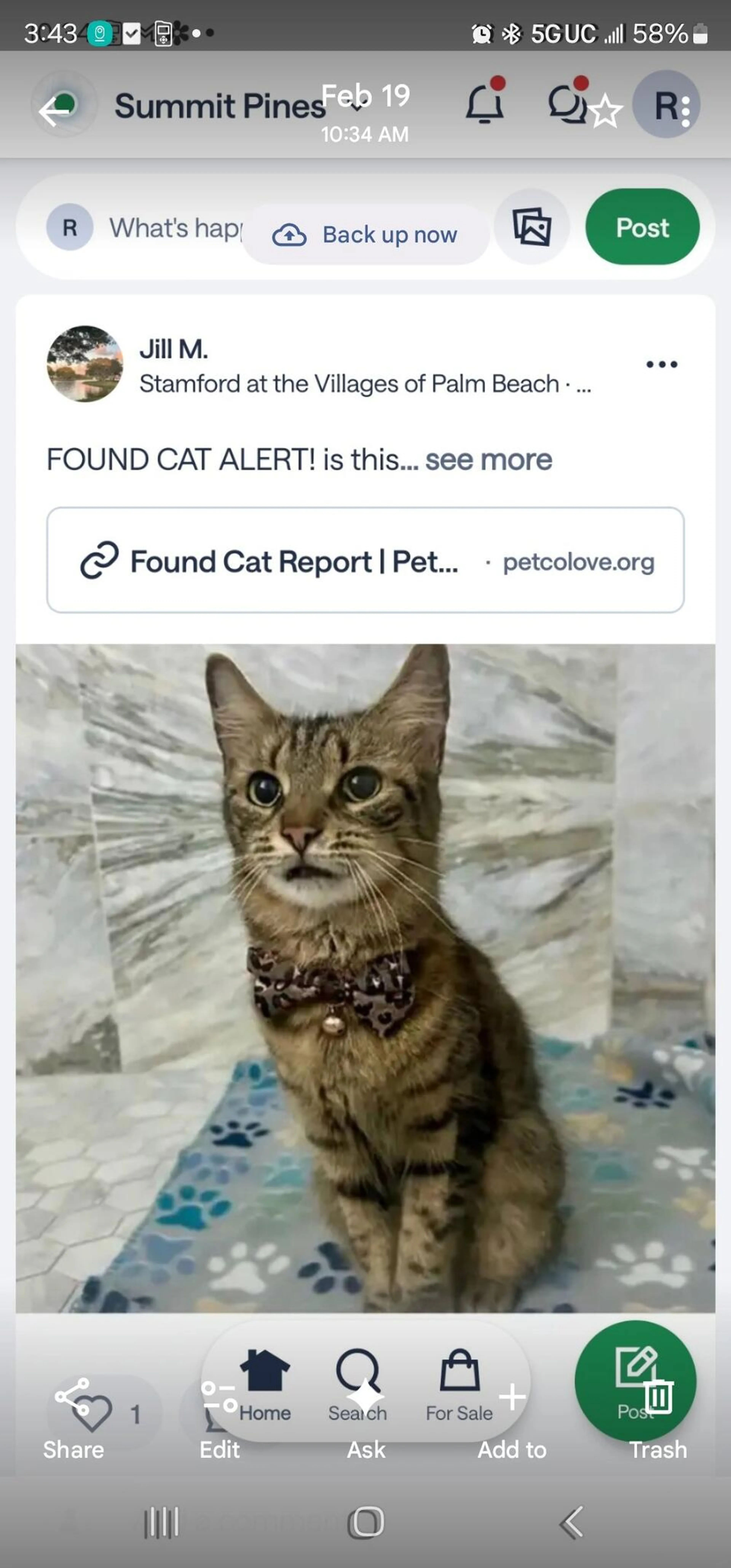 Found pet
