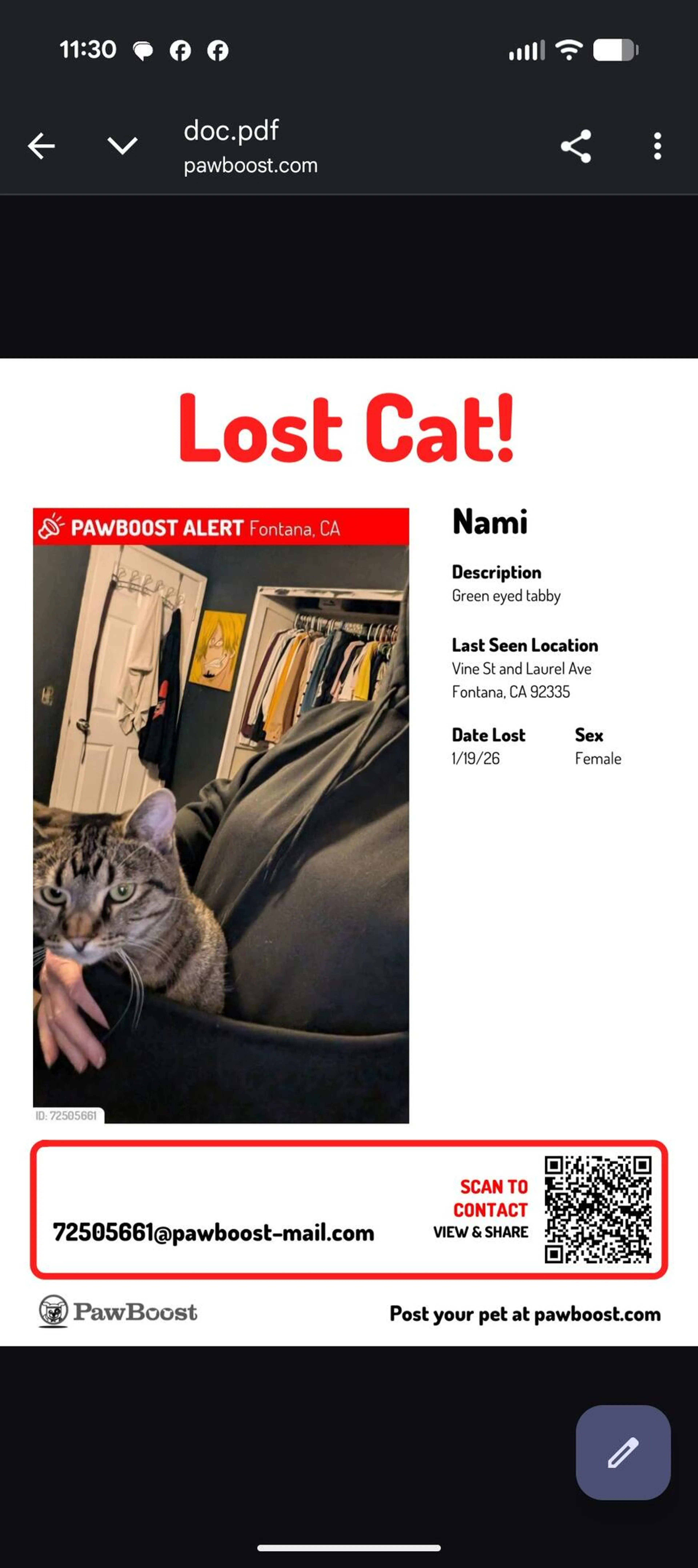 Lost pet