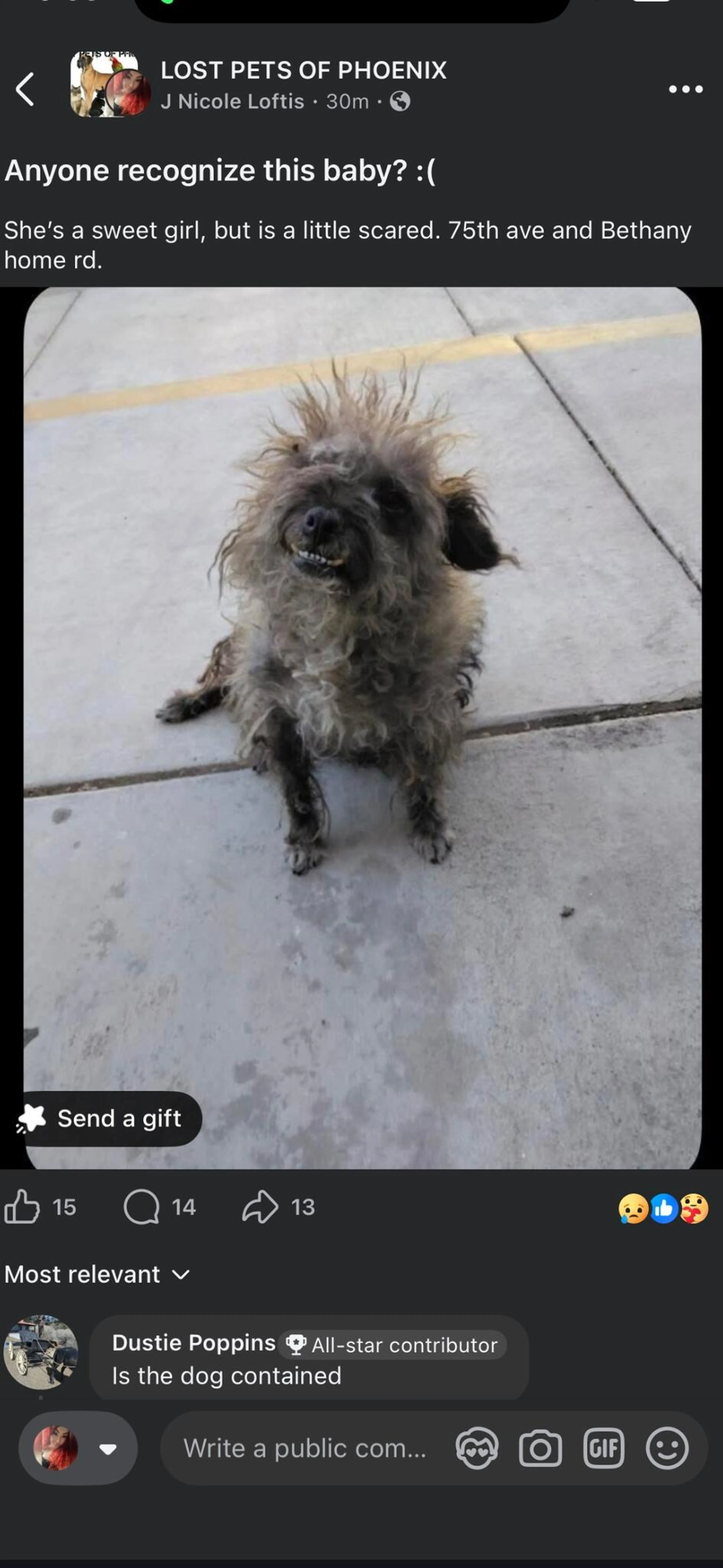 Found pet
