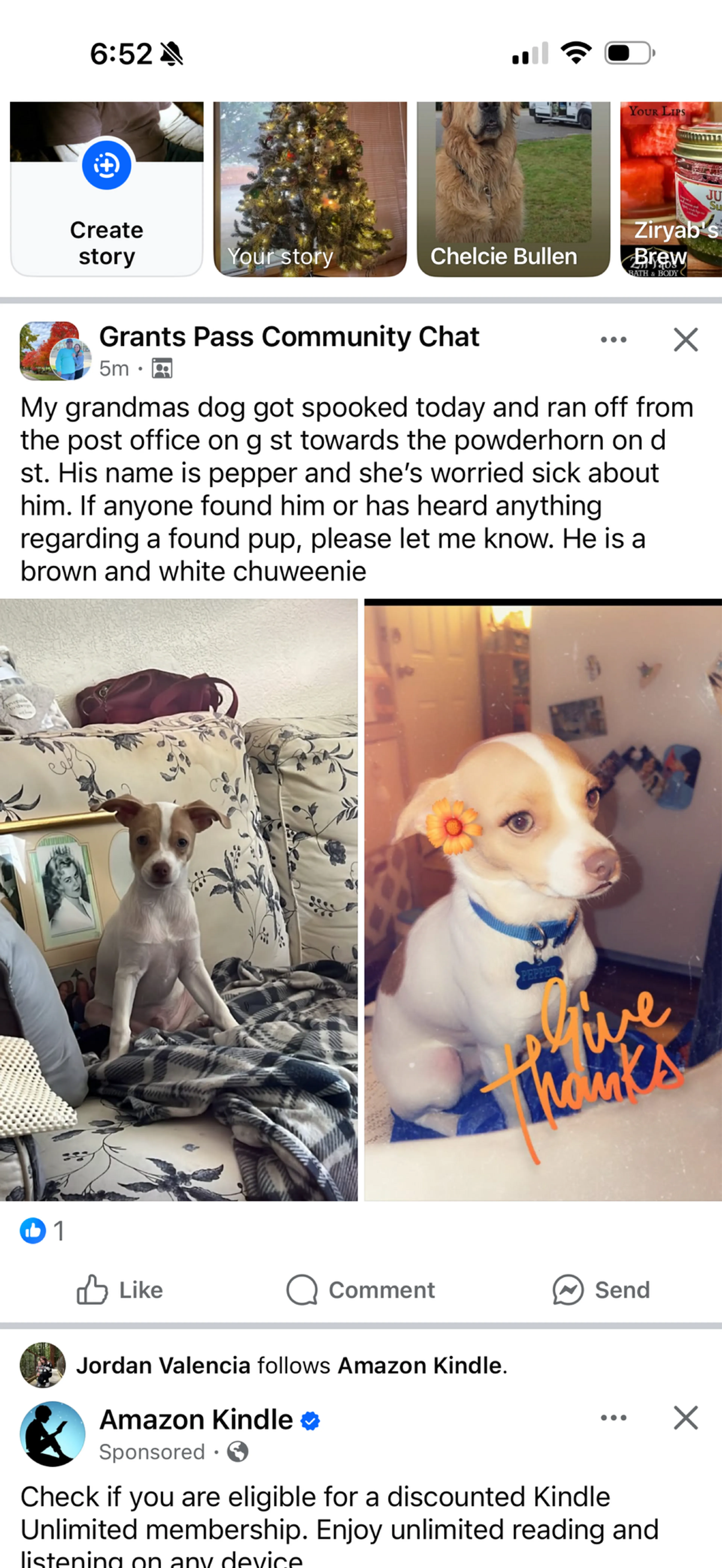 Lost pet