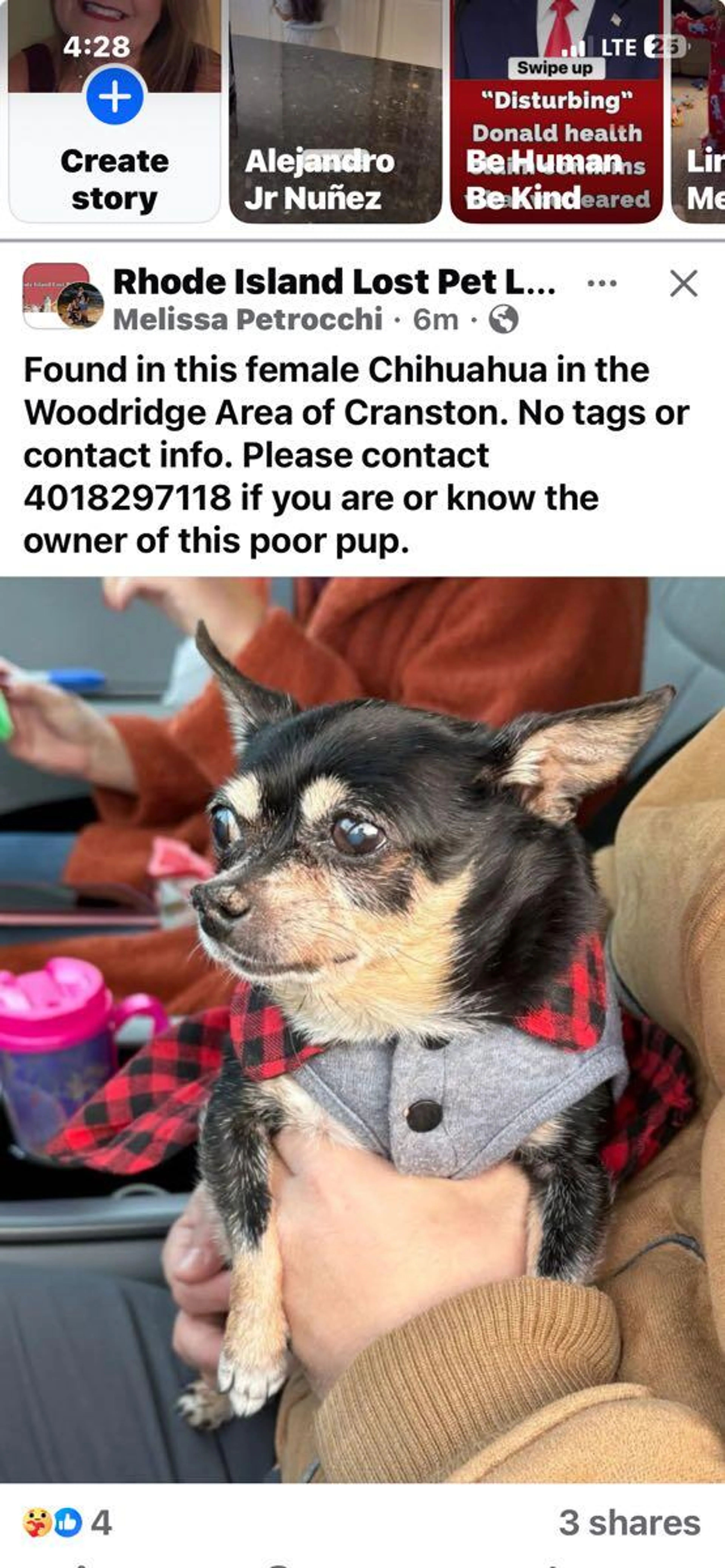 Found pet