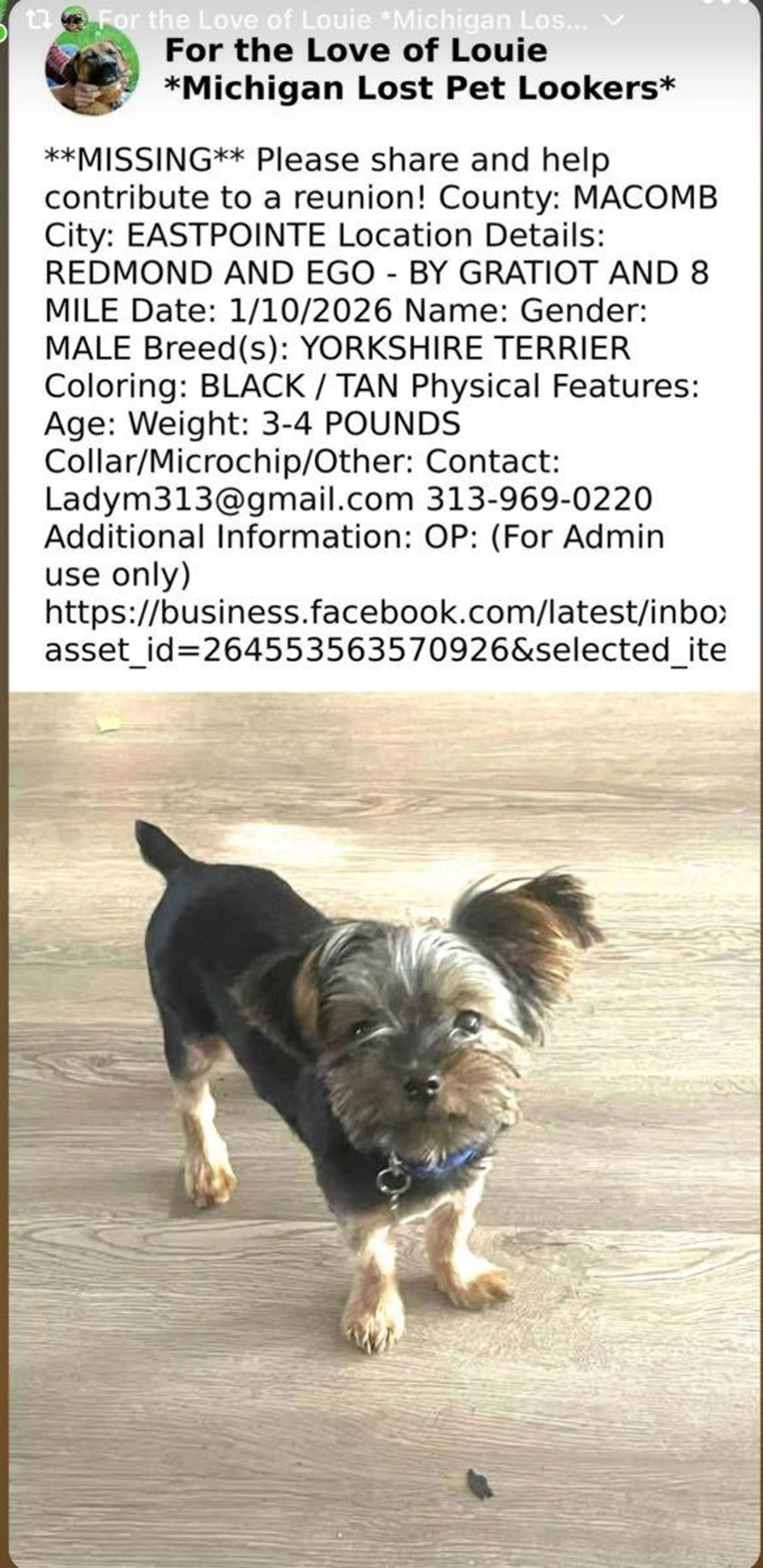 Lost pet