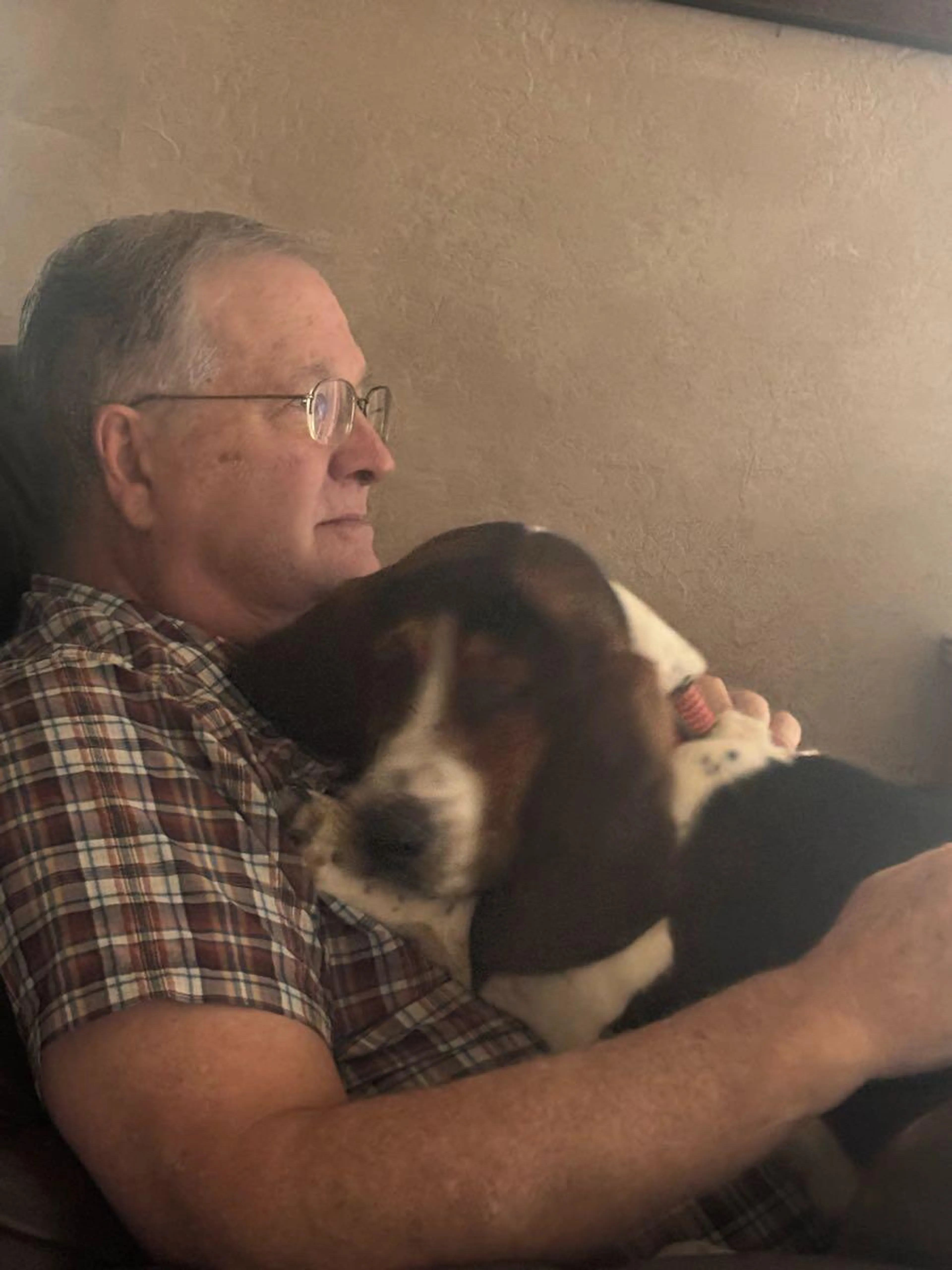 Lost pet