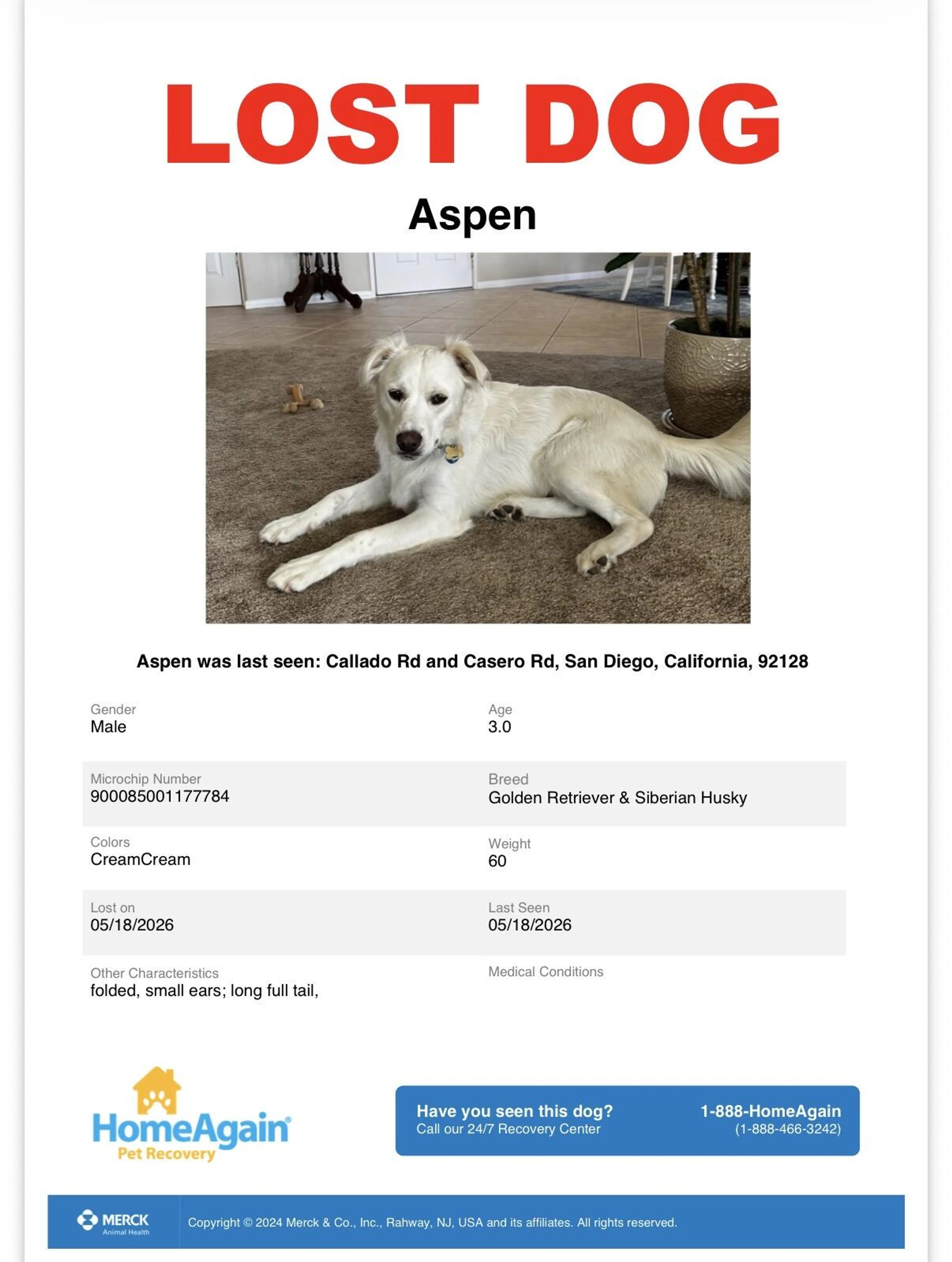 Lost pet