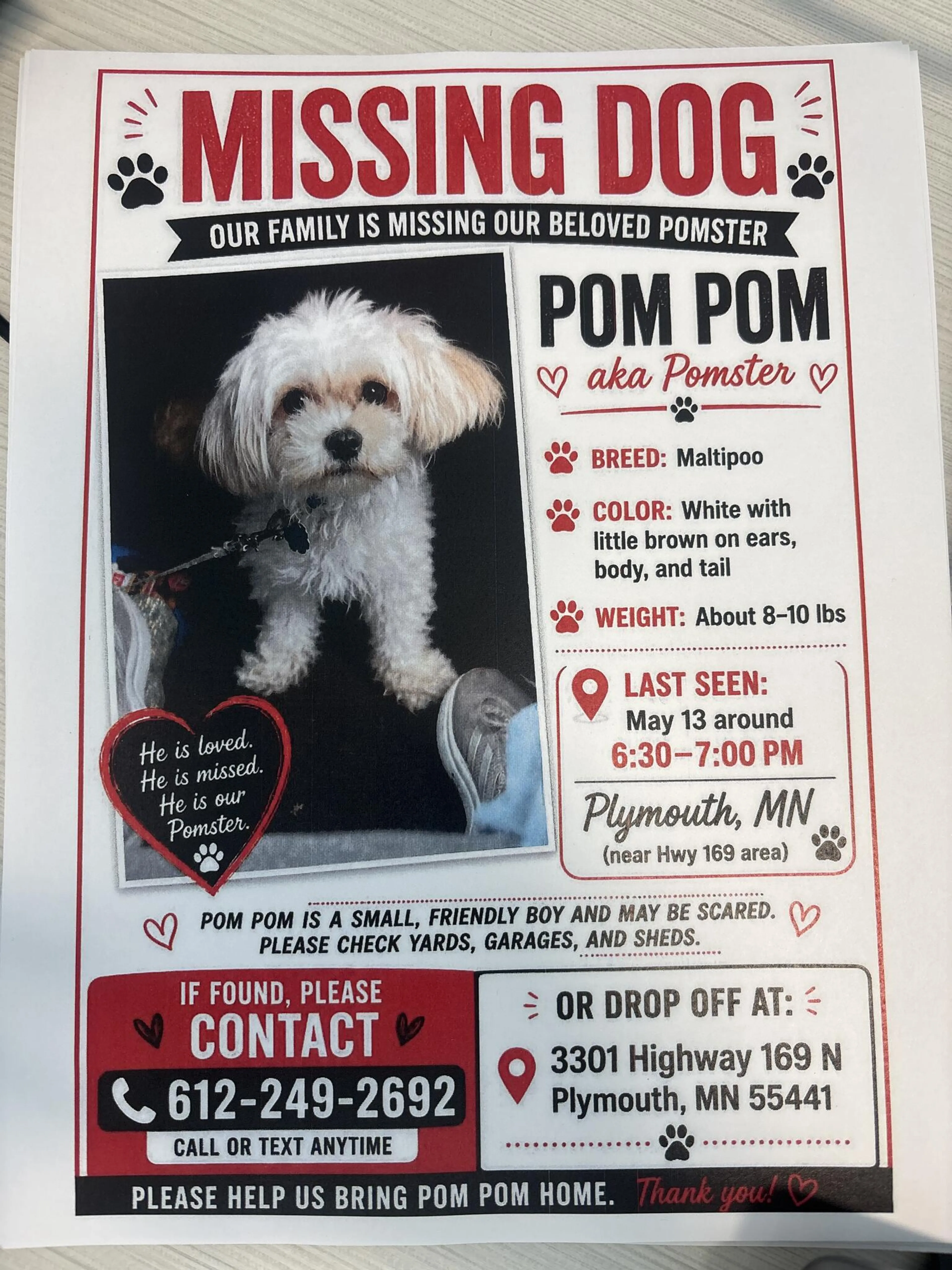 Lost pet