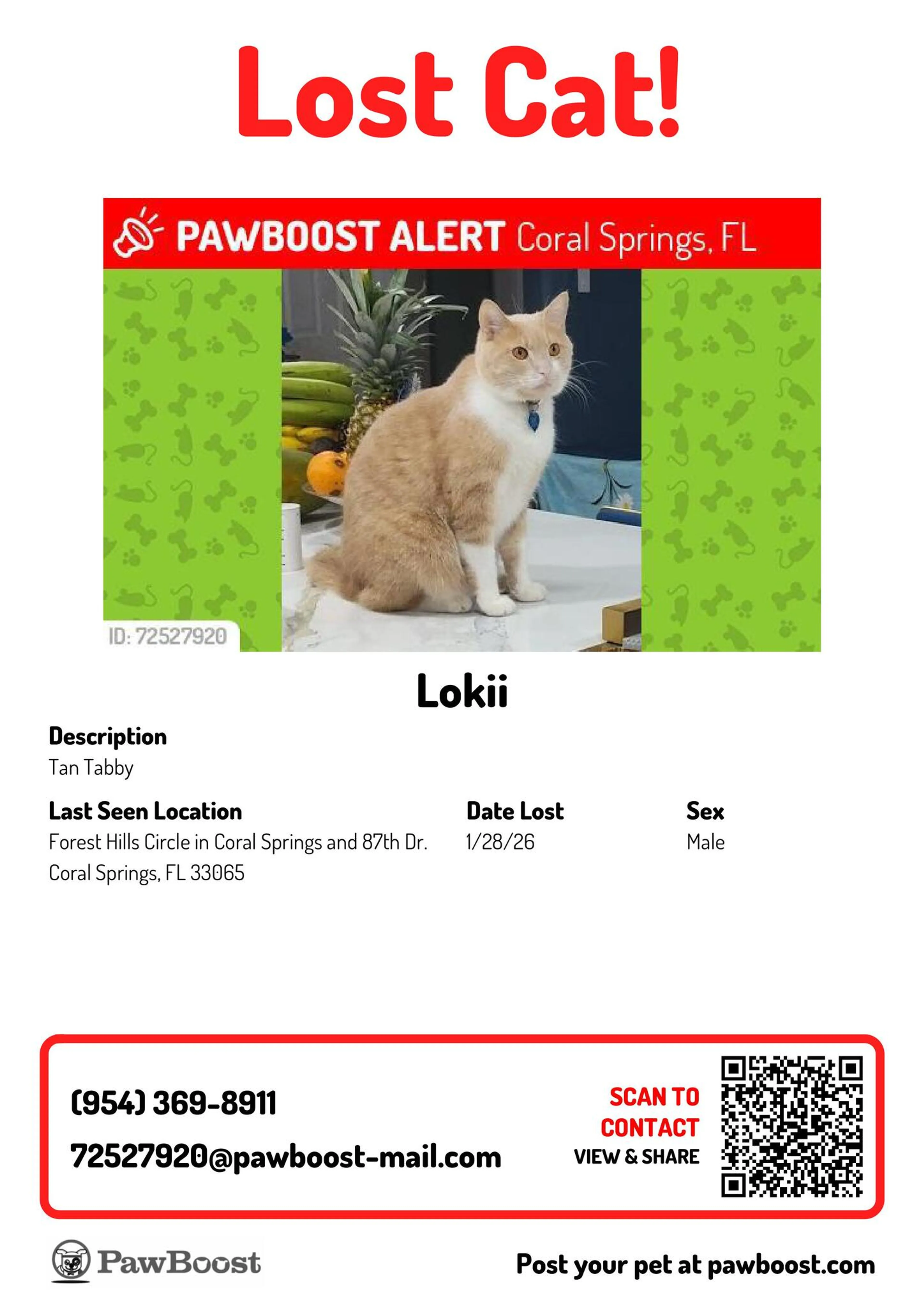 Lost pet