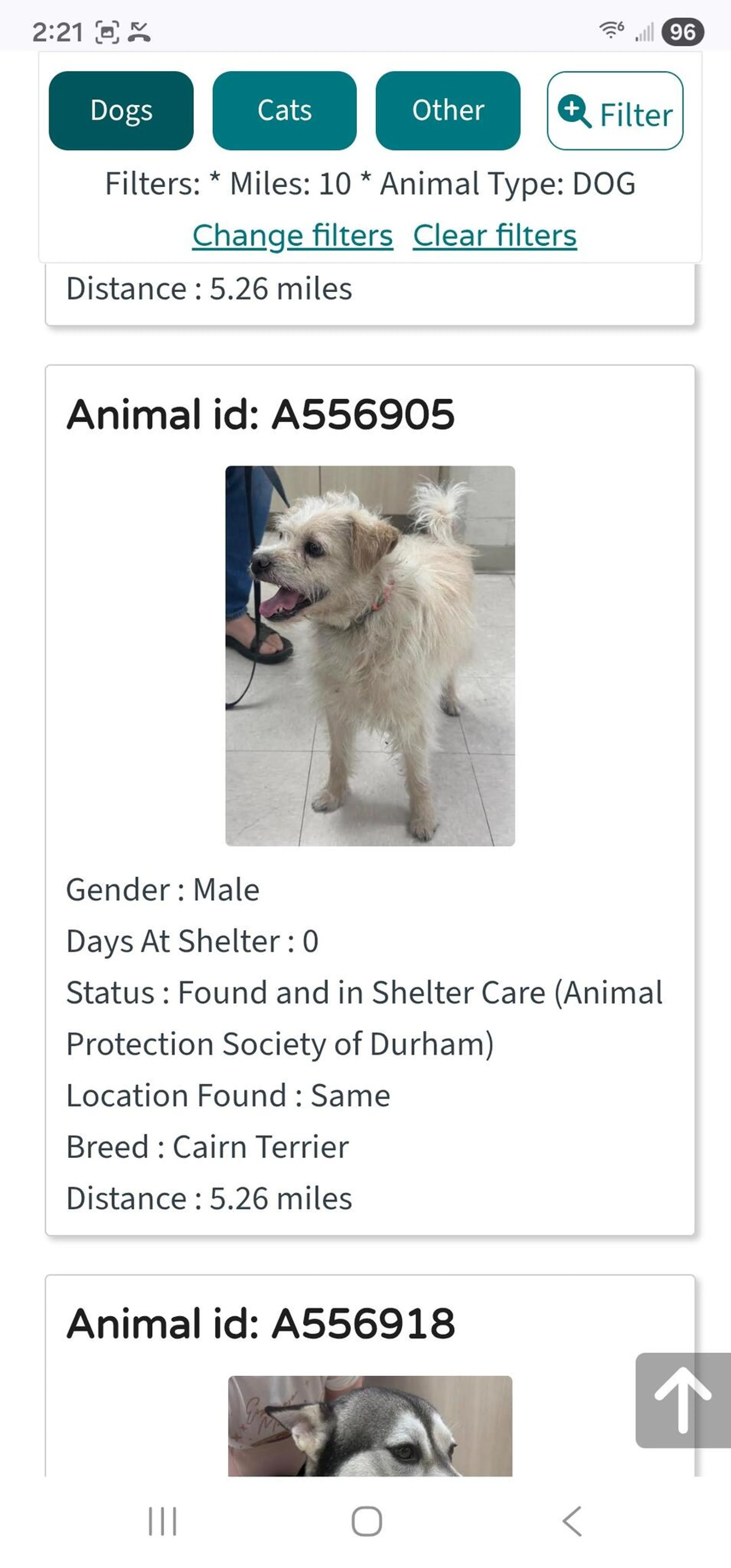 Found pet