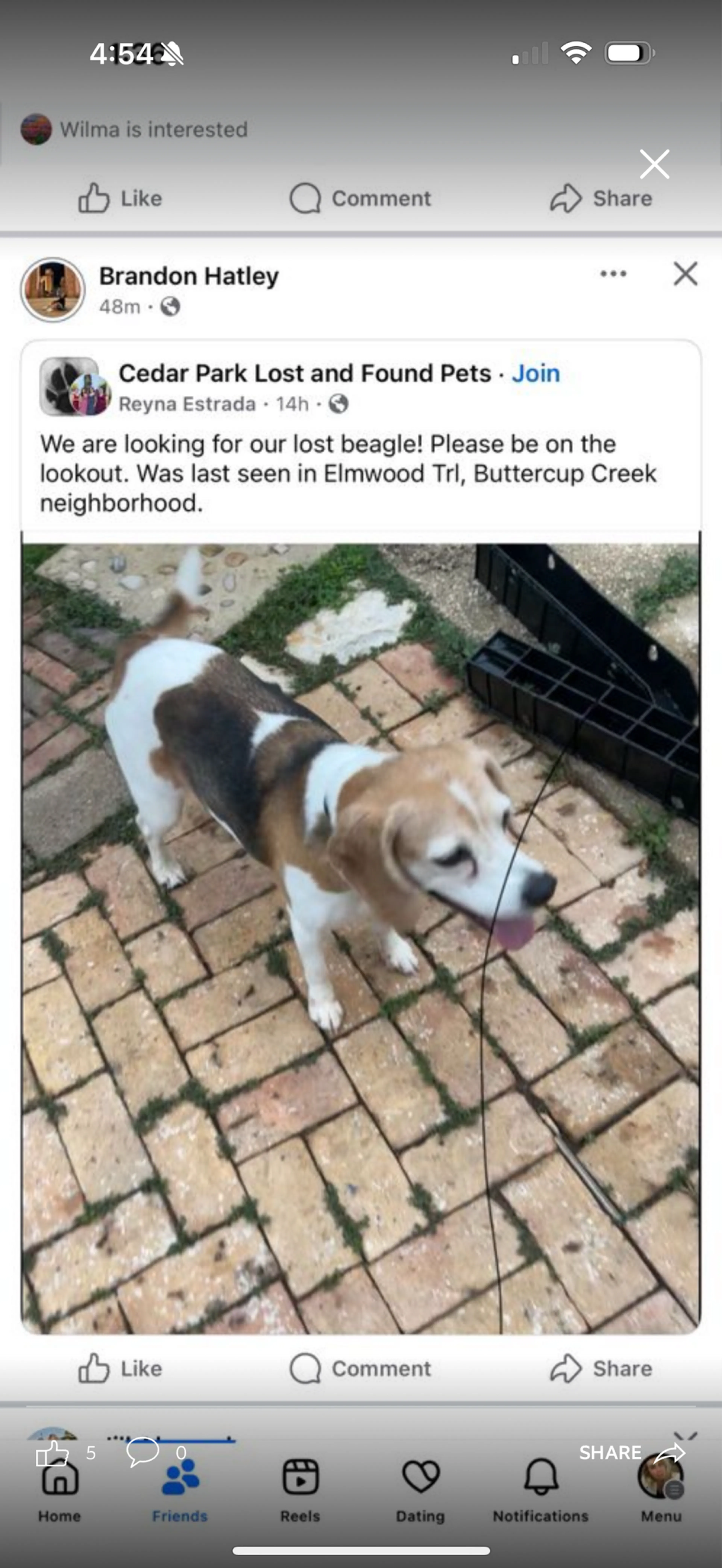 Lost pet