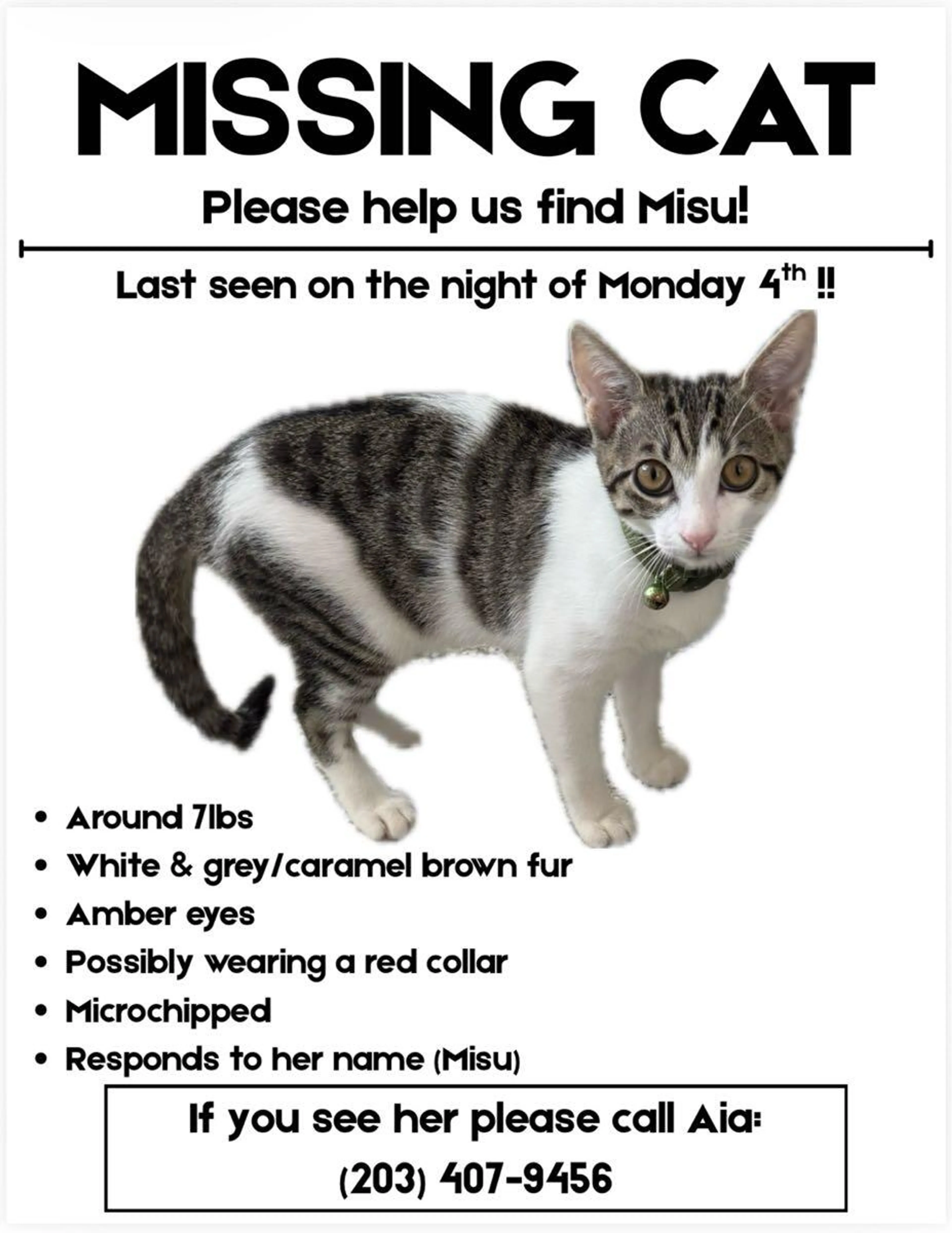 Found pet