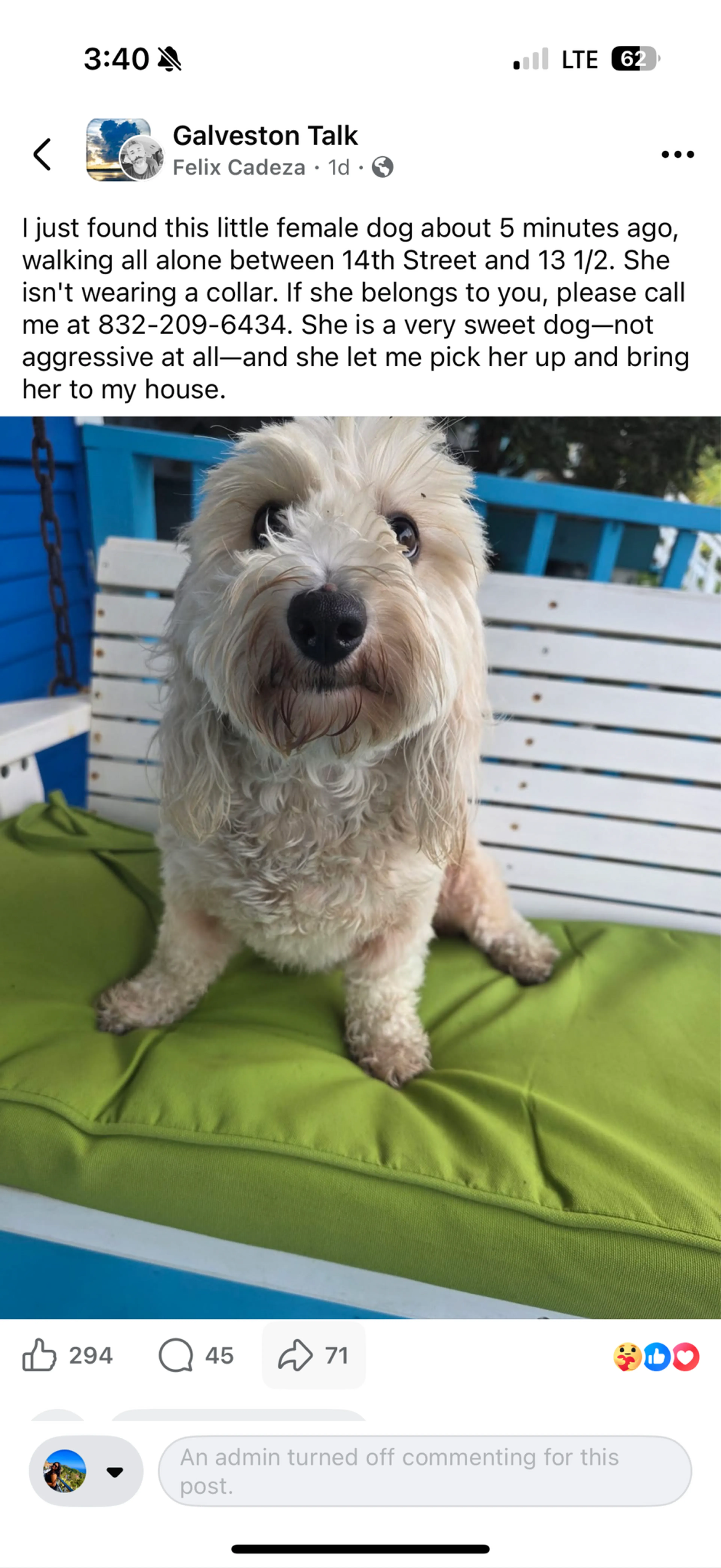 Found pet