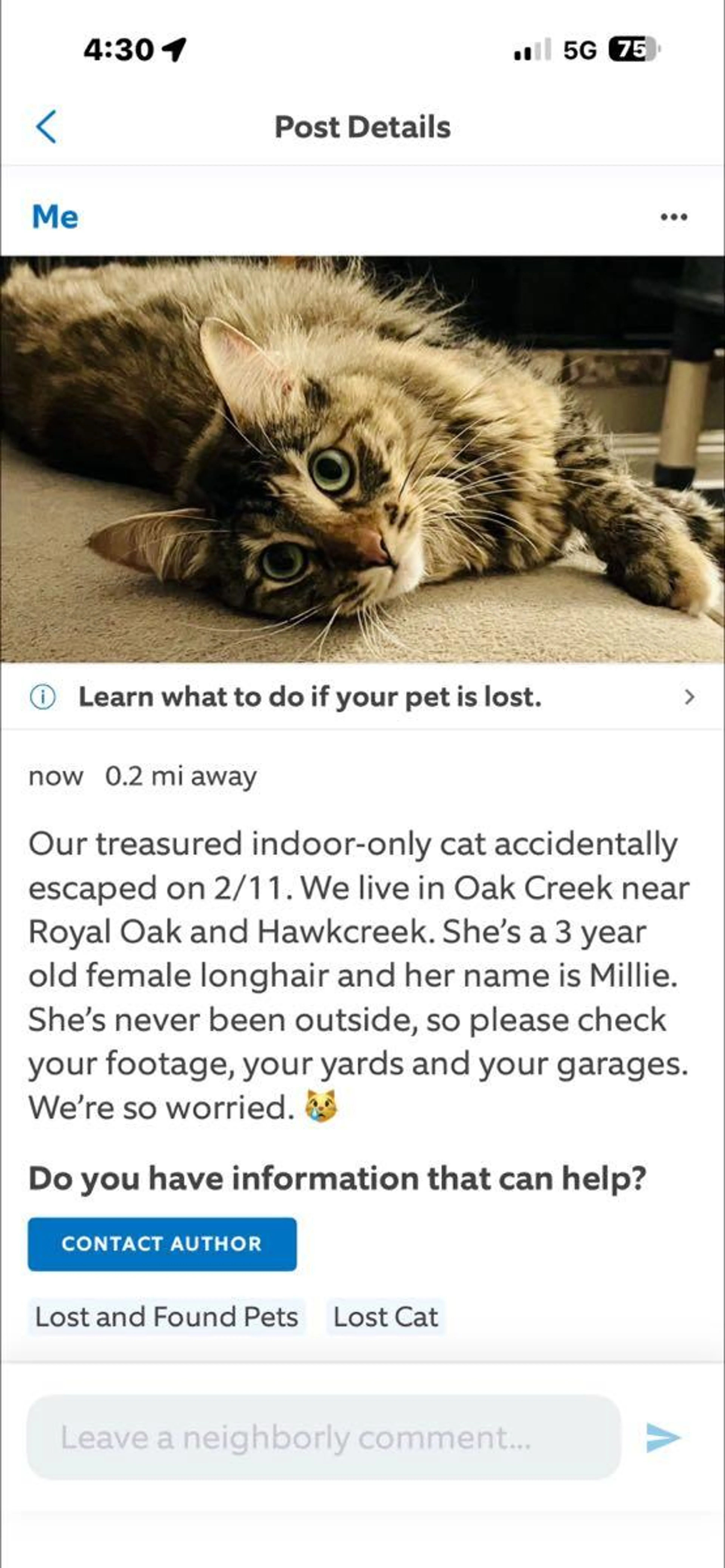 Lost pet