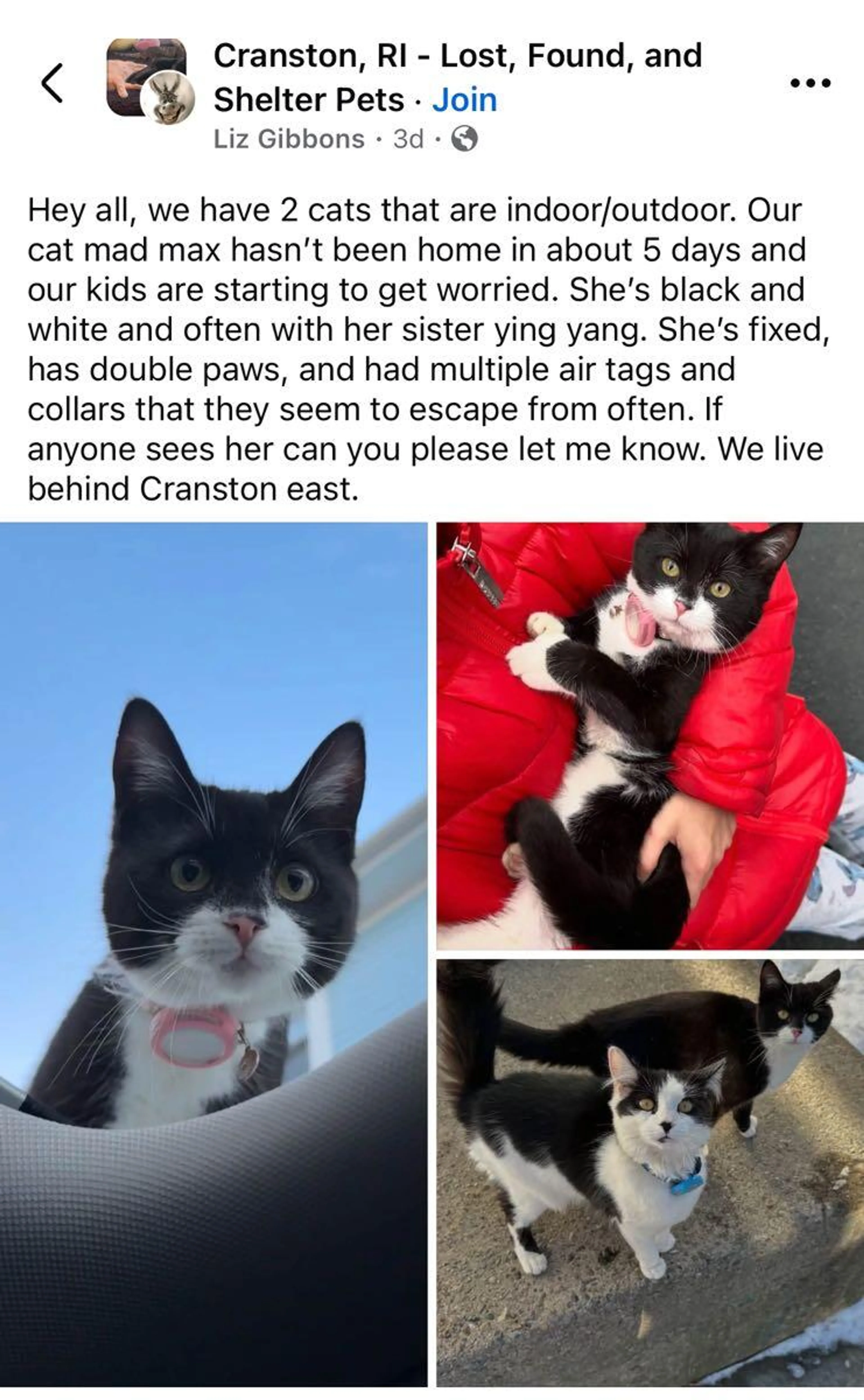 cdn image