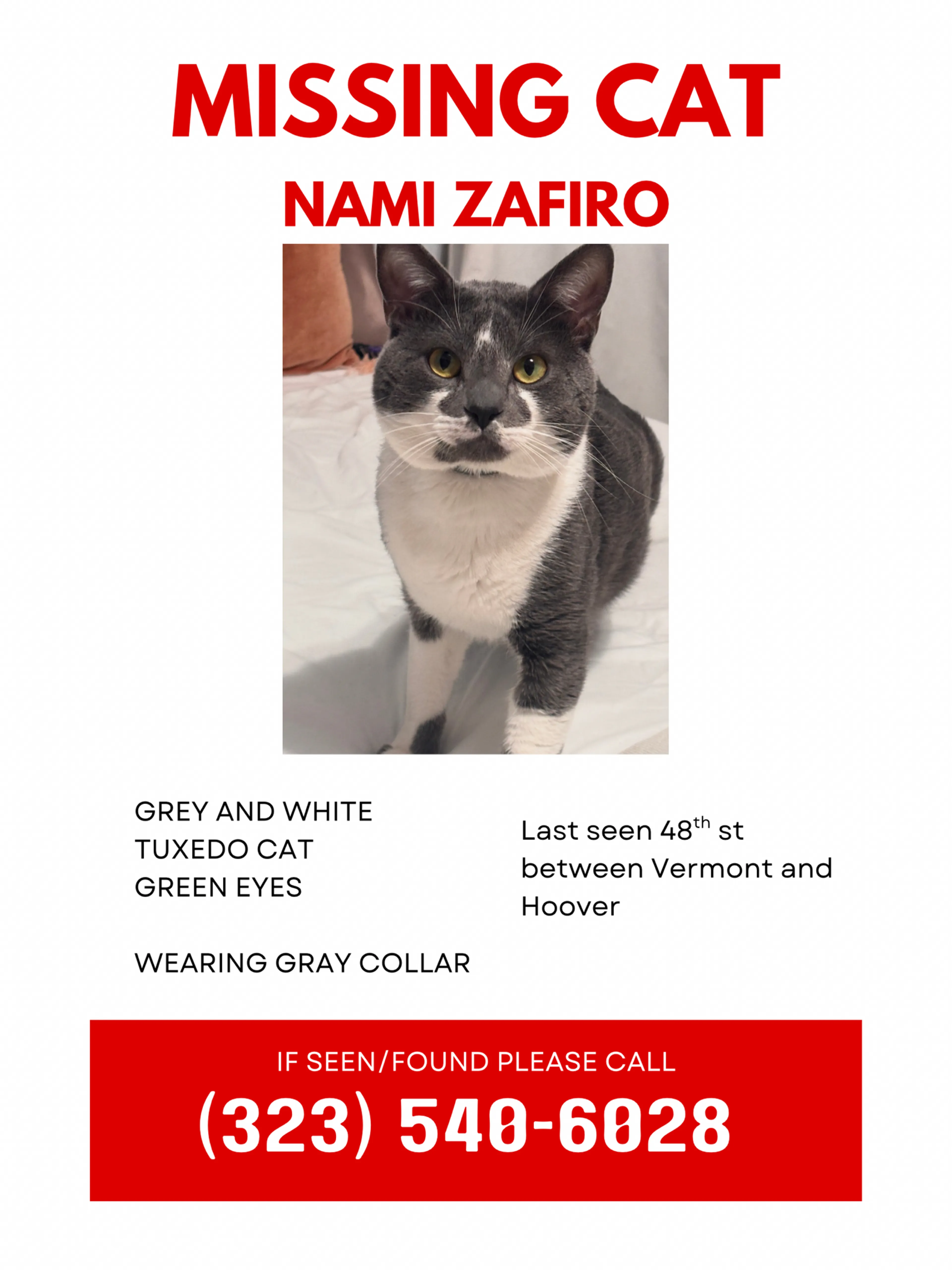 Lost pet