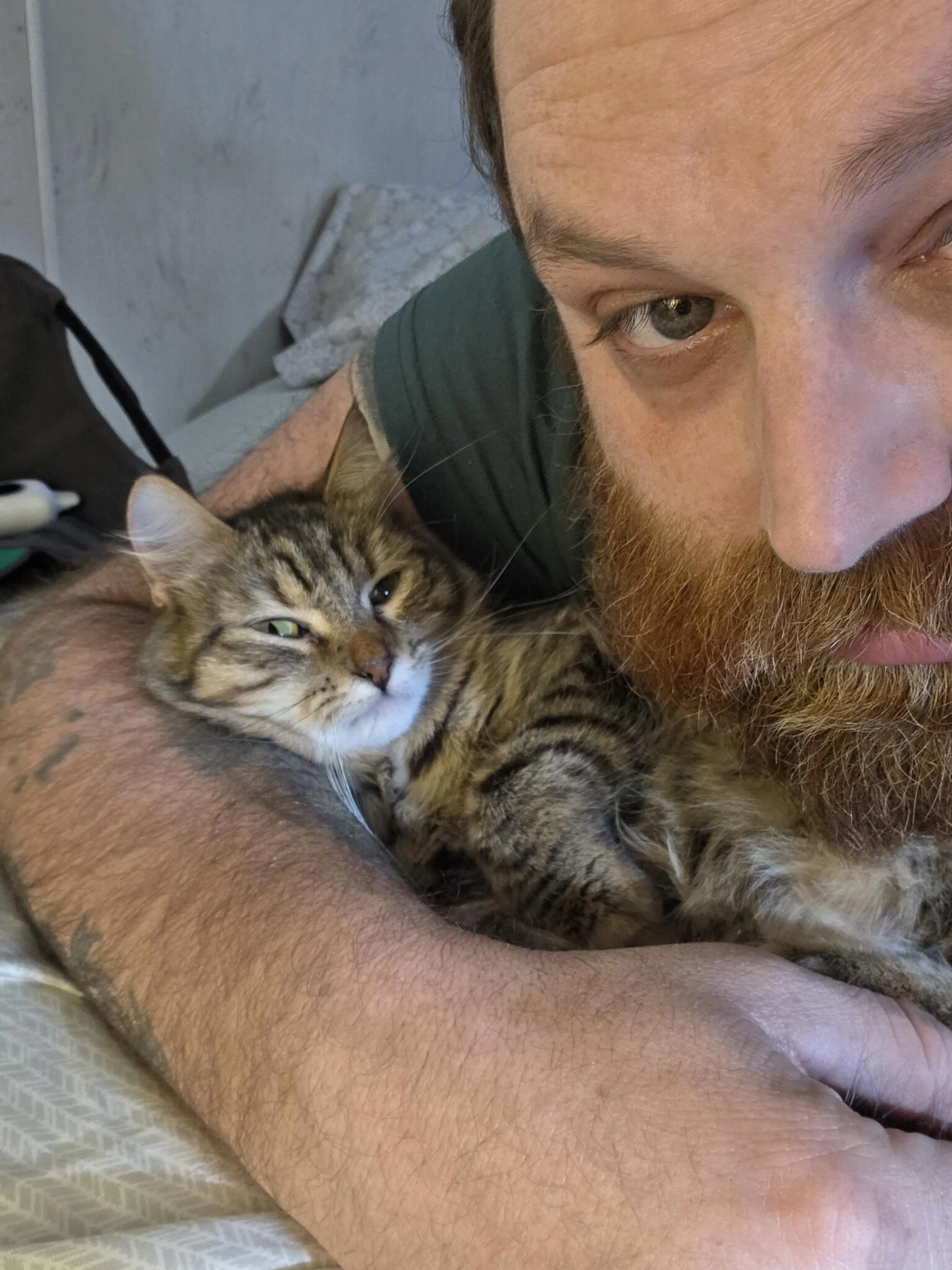 Lost pet