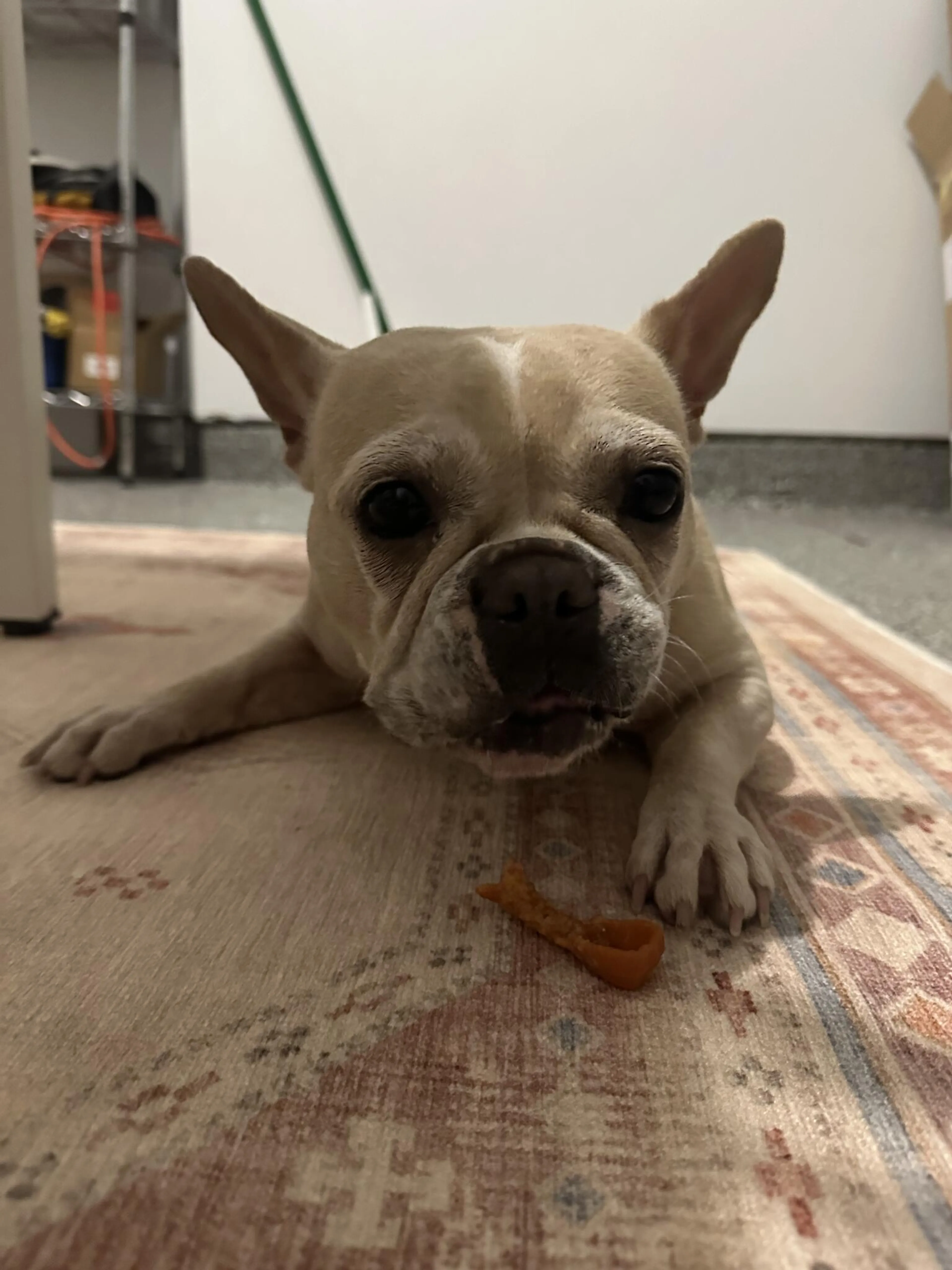 cdn image