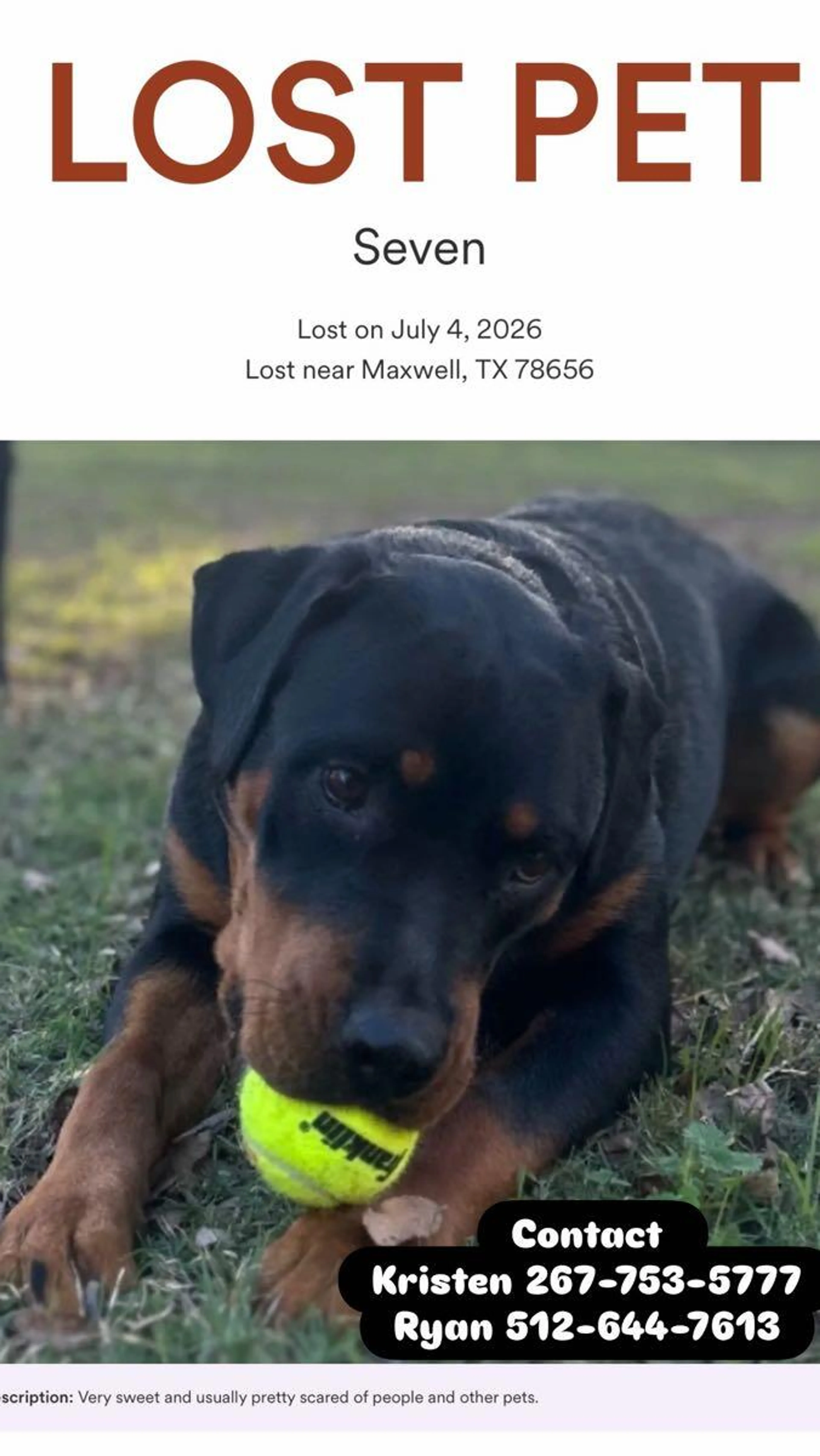 cdn image