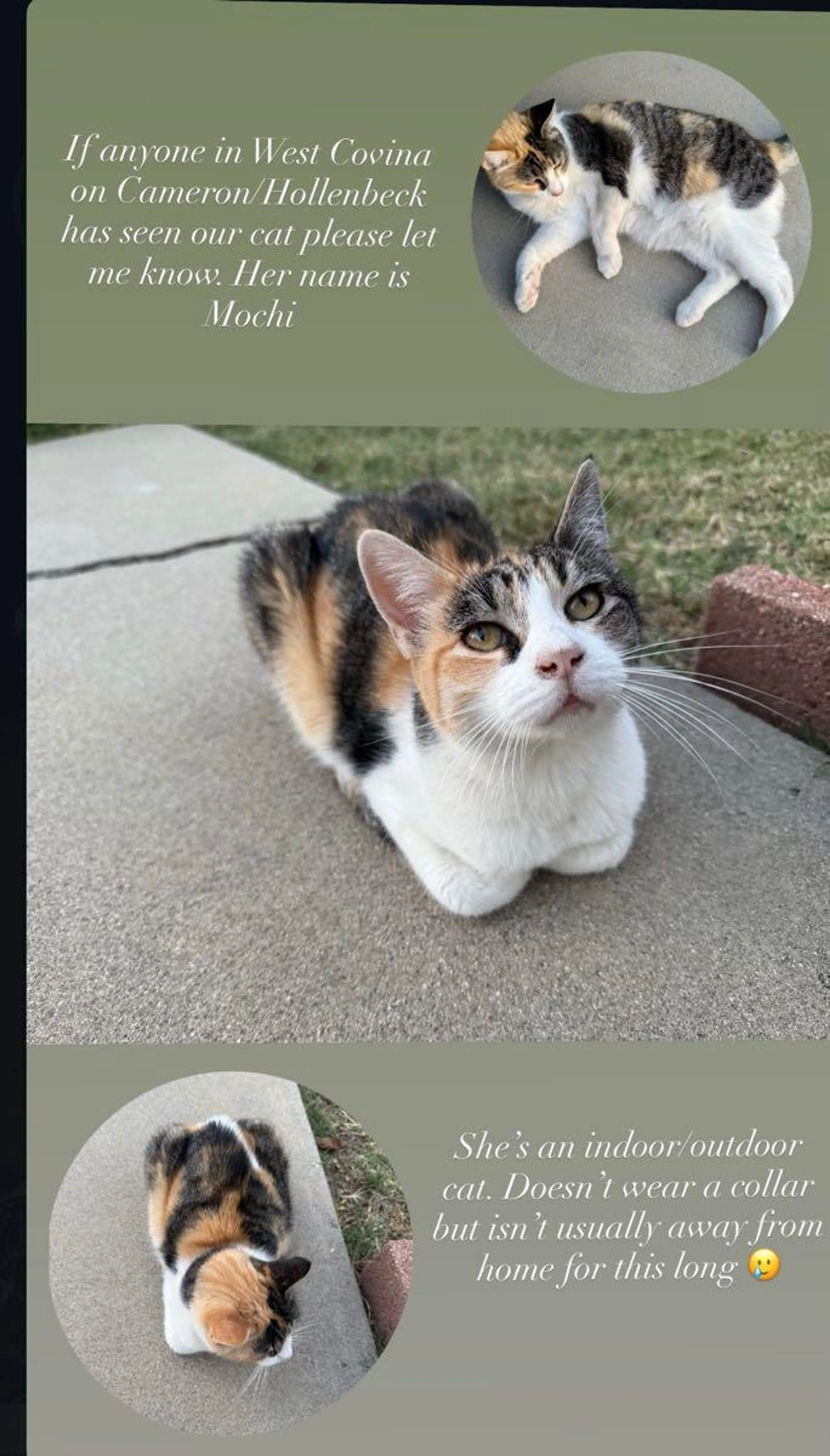 cdn image