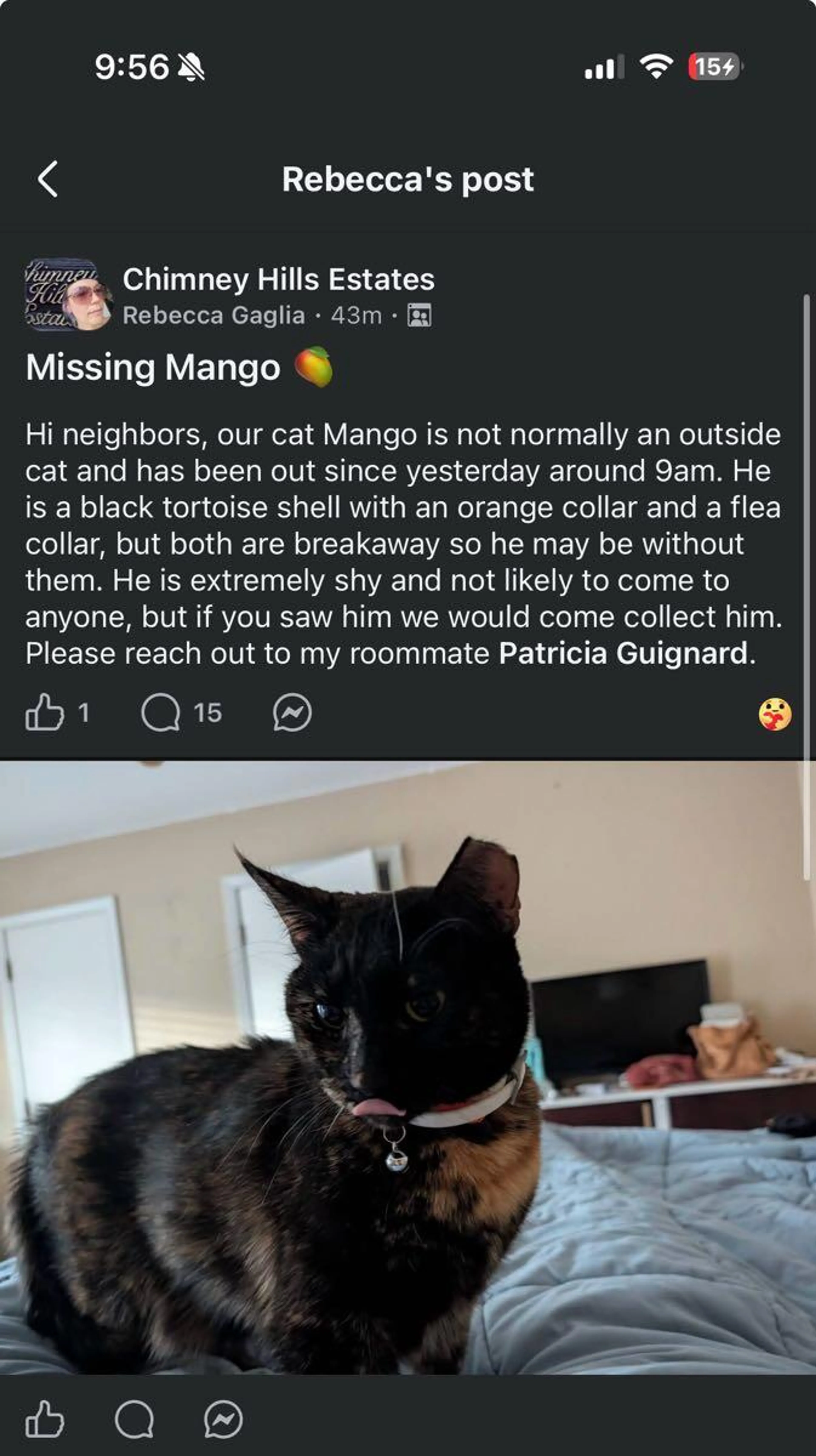 Lost pet