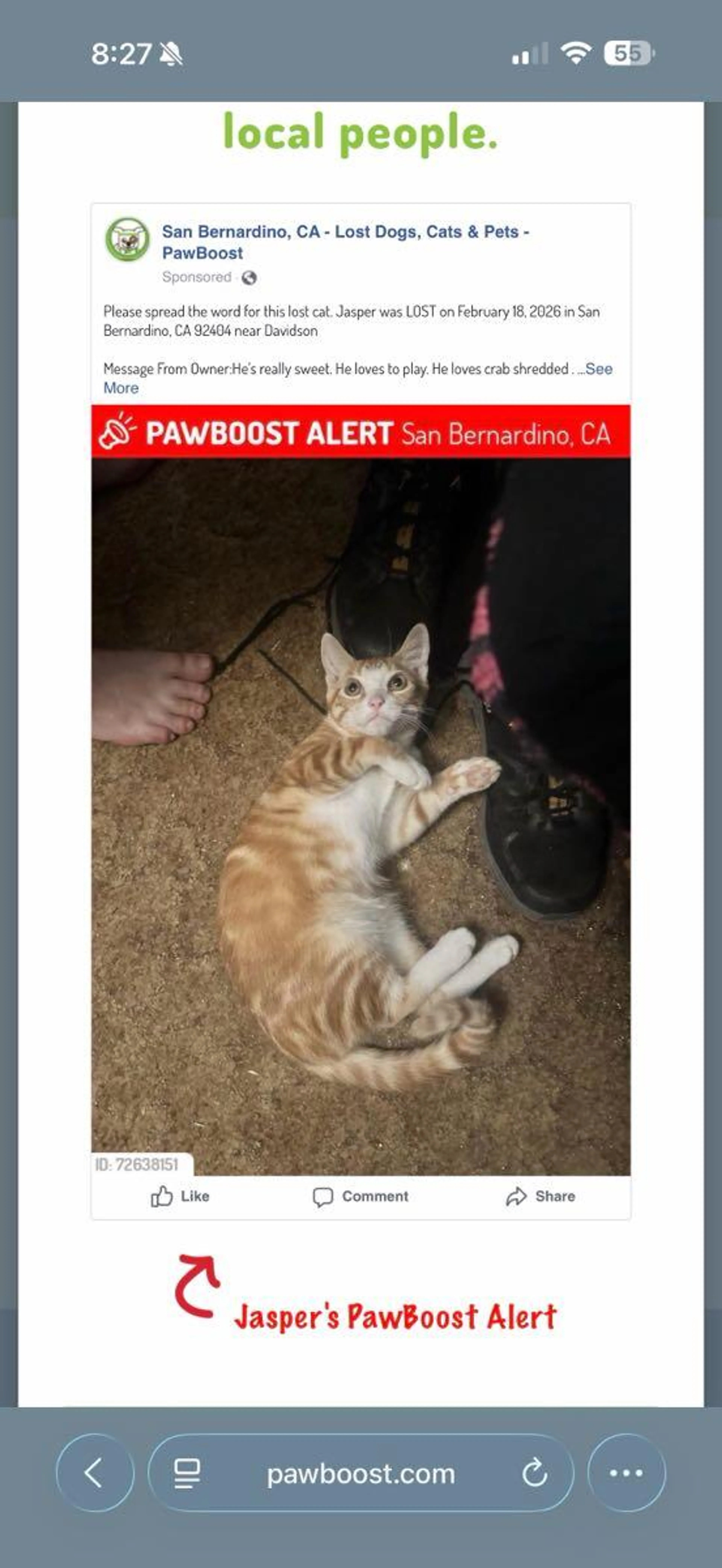 Lost pet