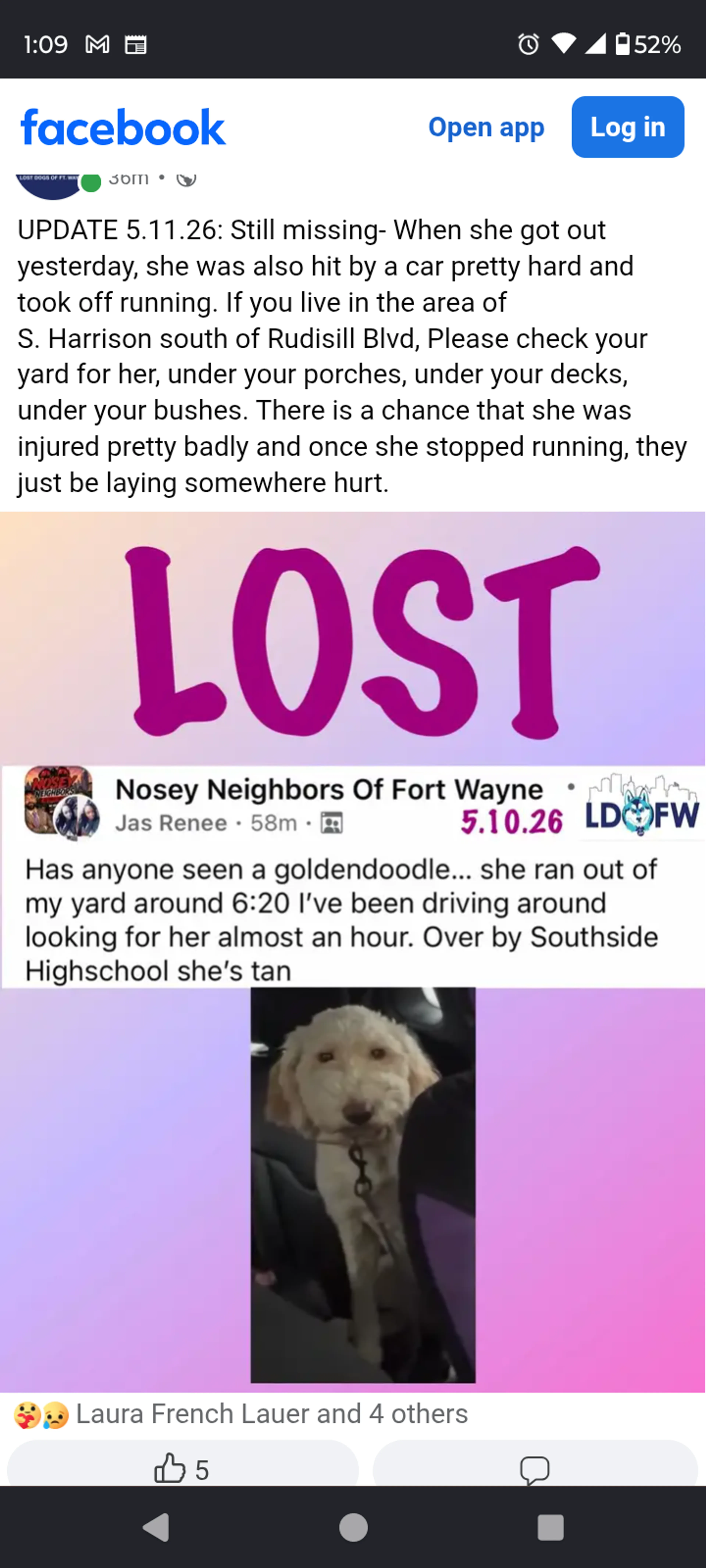 Lost pet