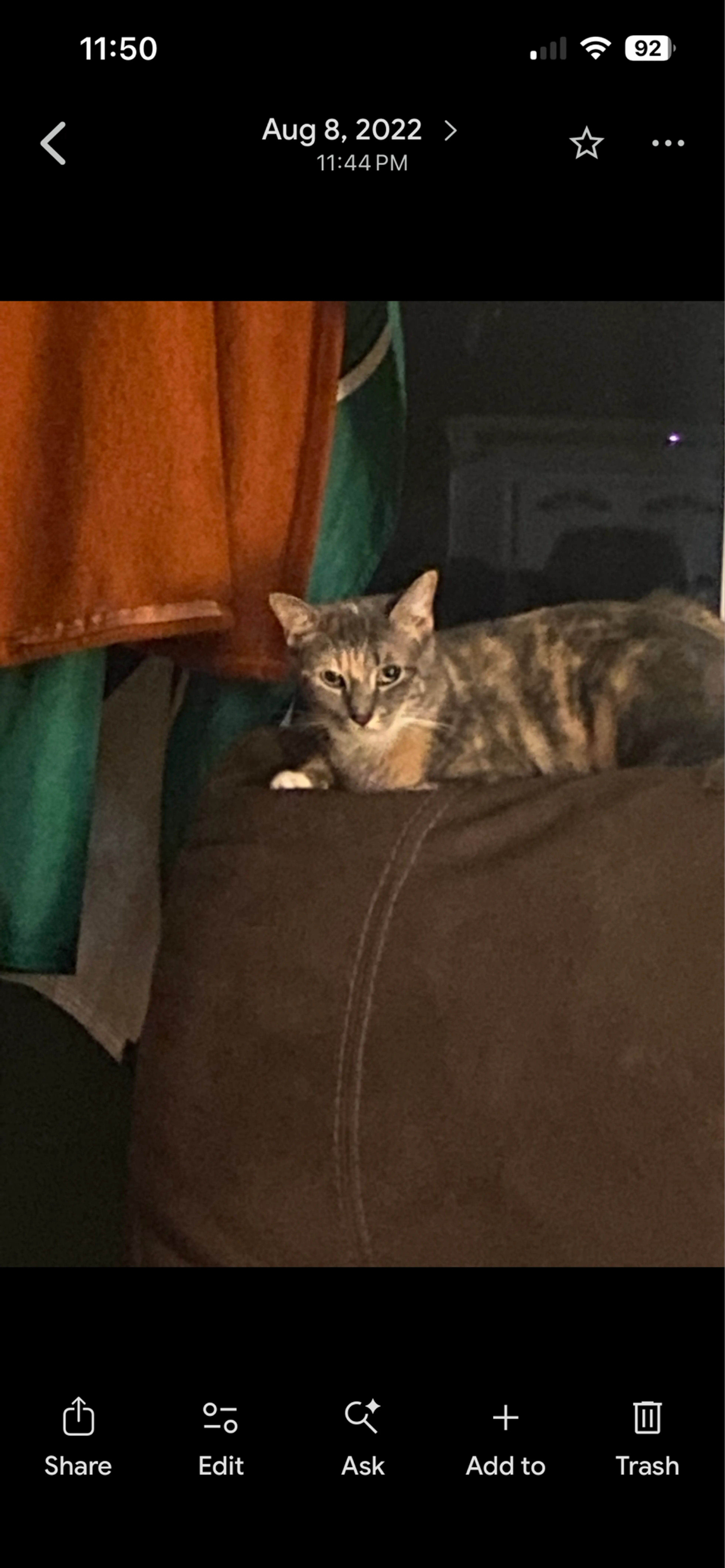 cdn image
