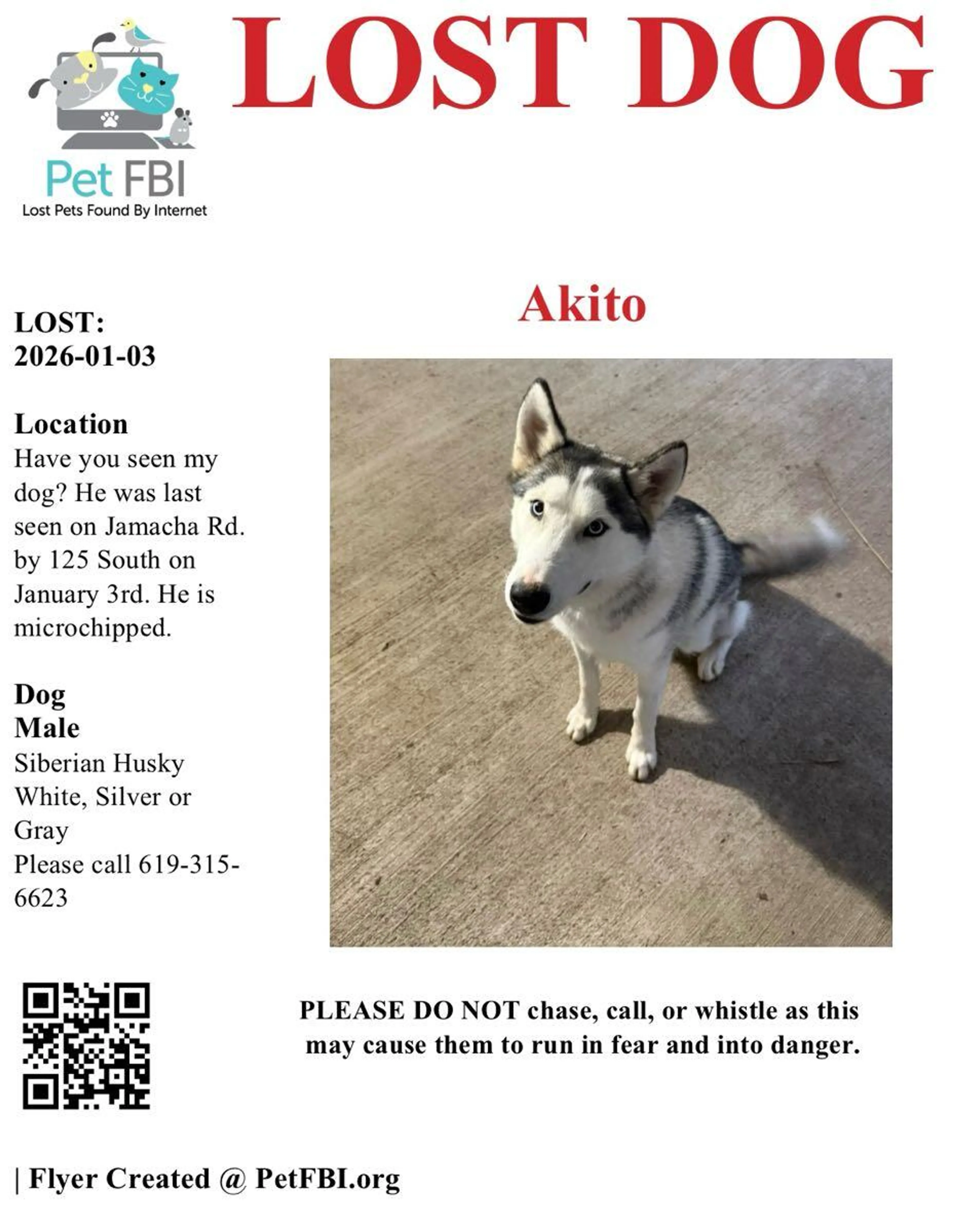 Lost pet