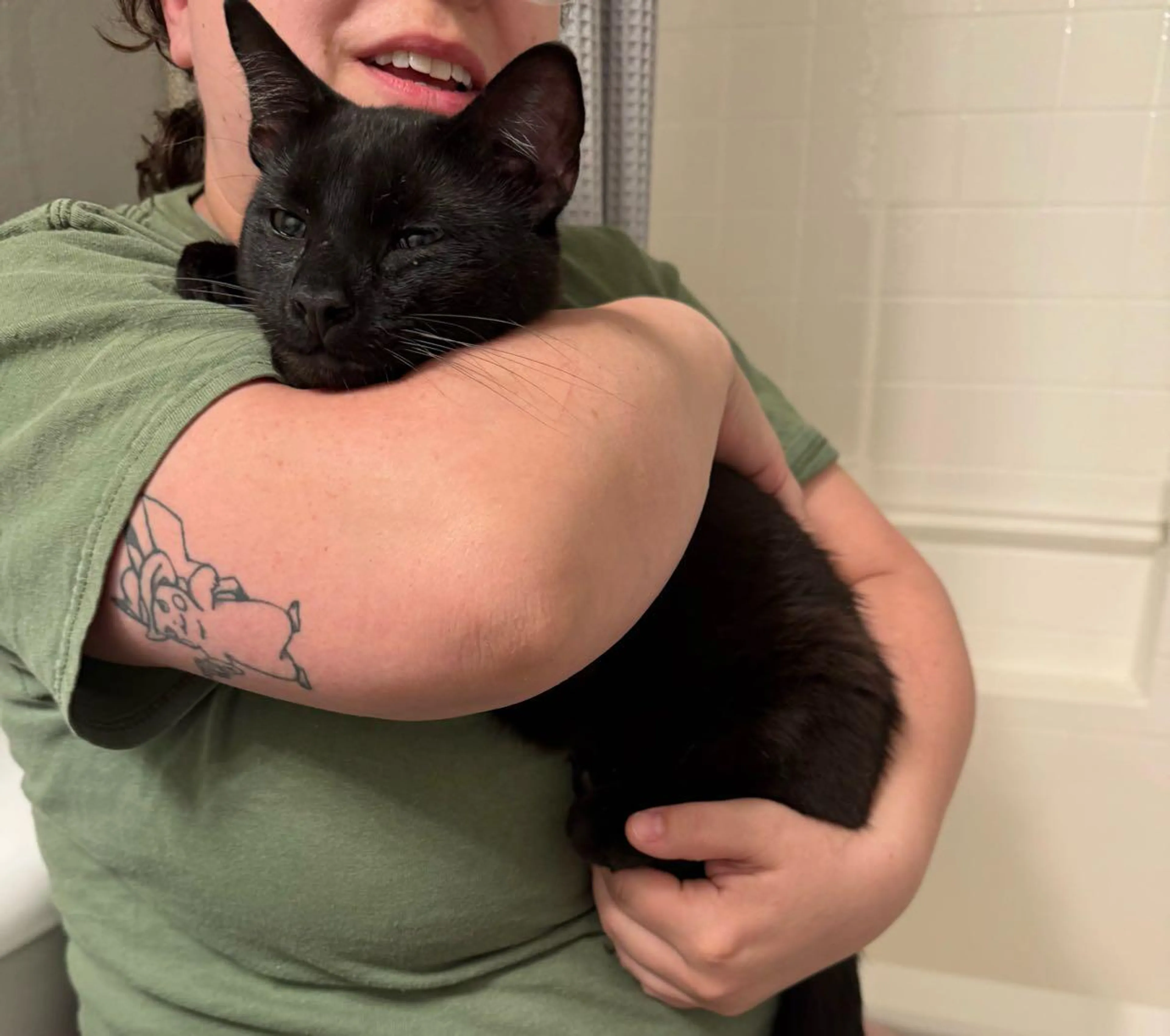 Found pet