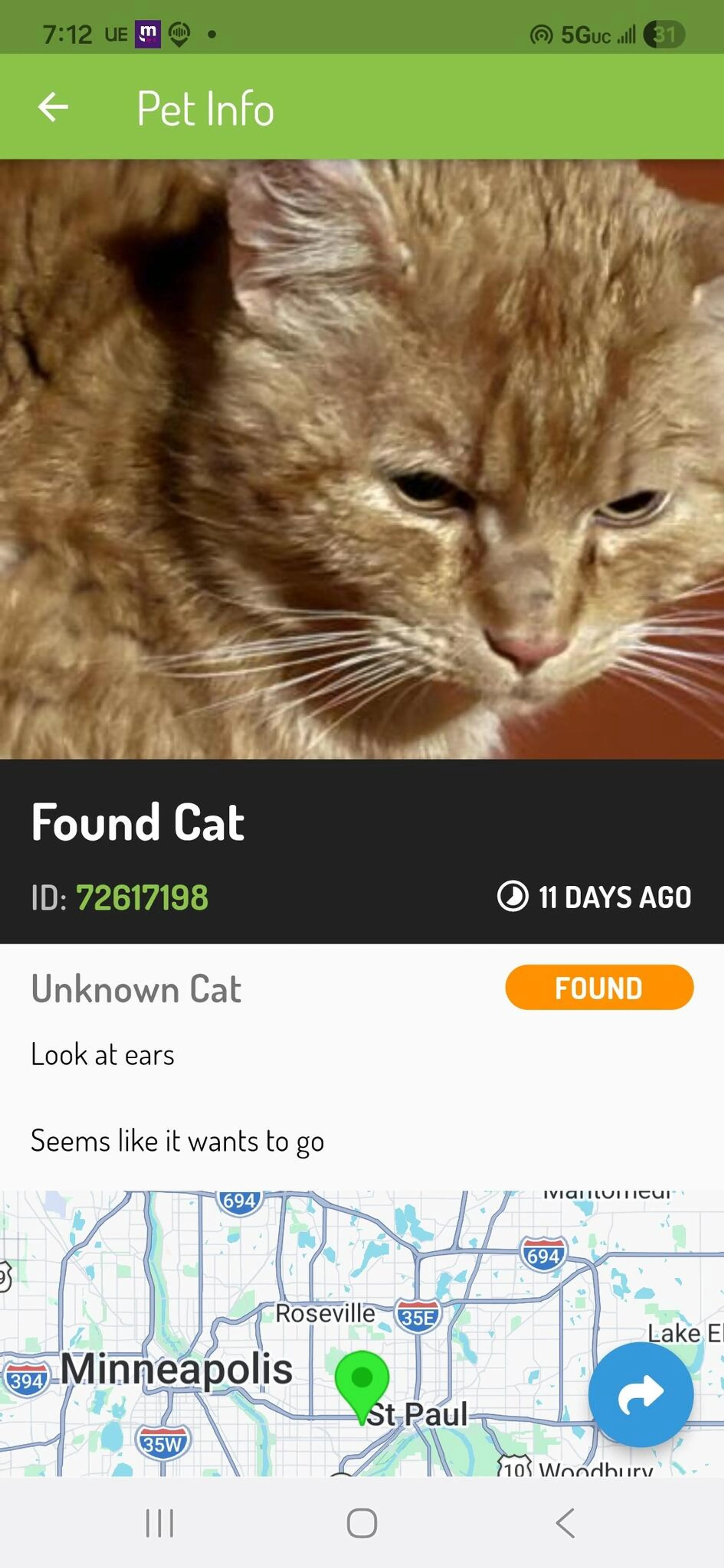 Lost pet