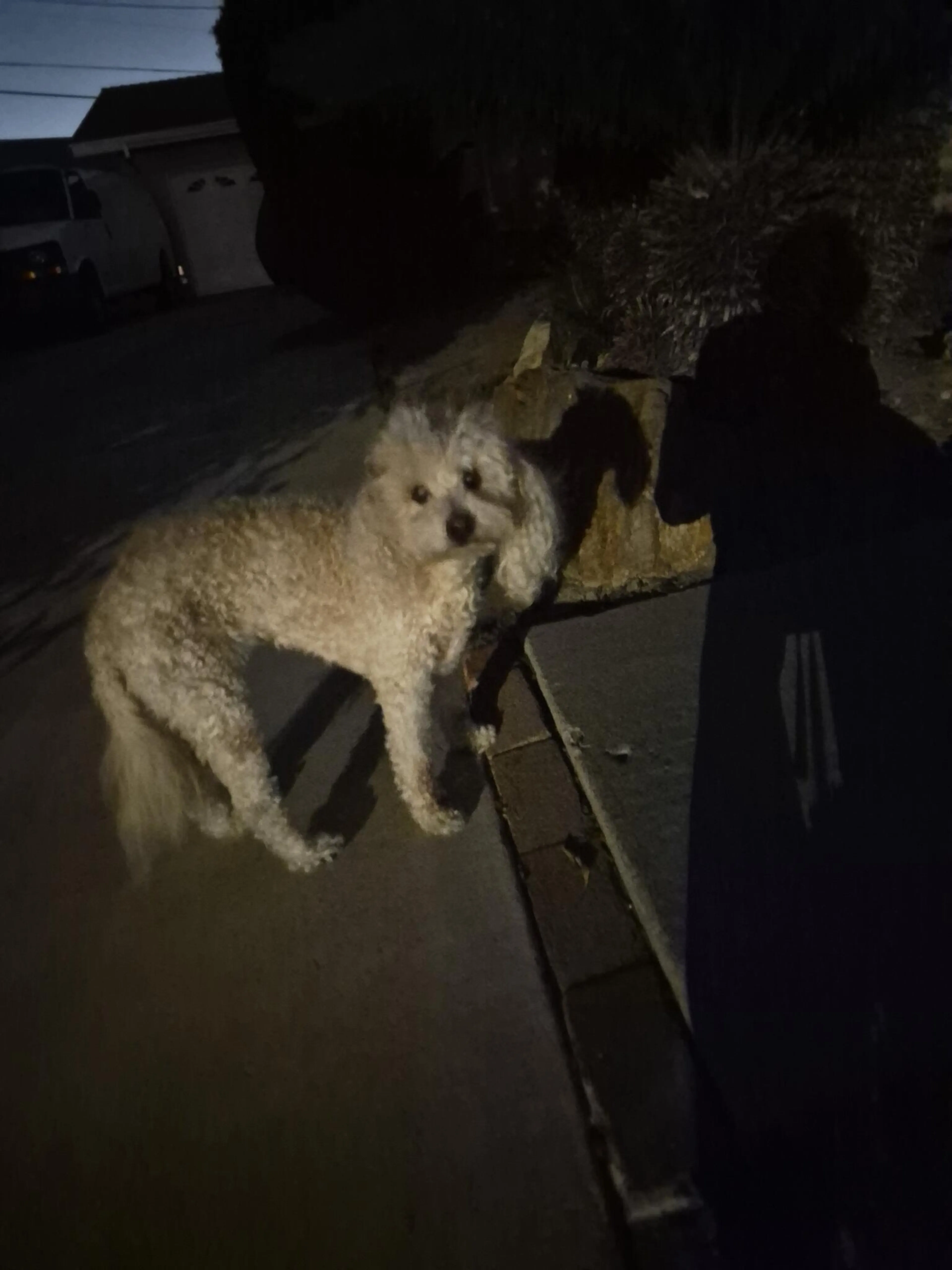 cdn image
