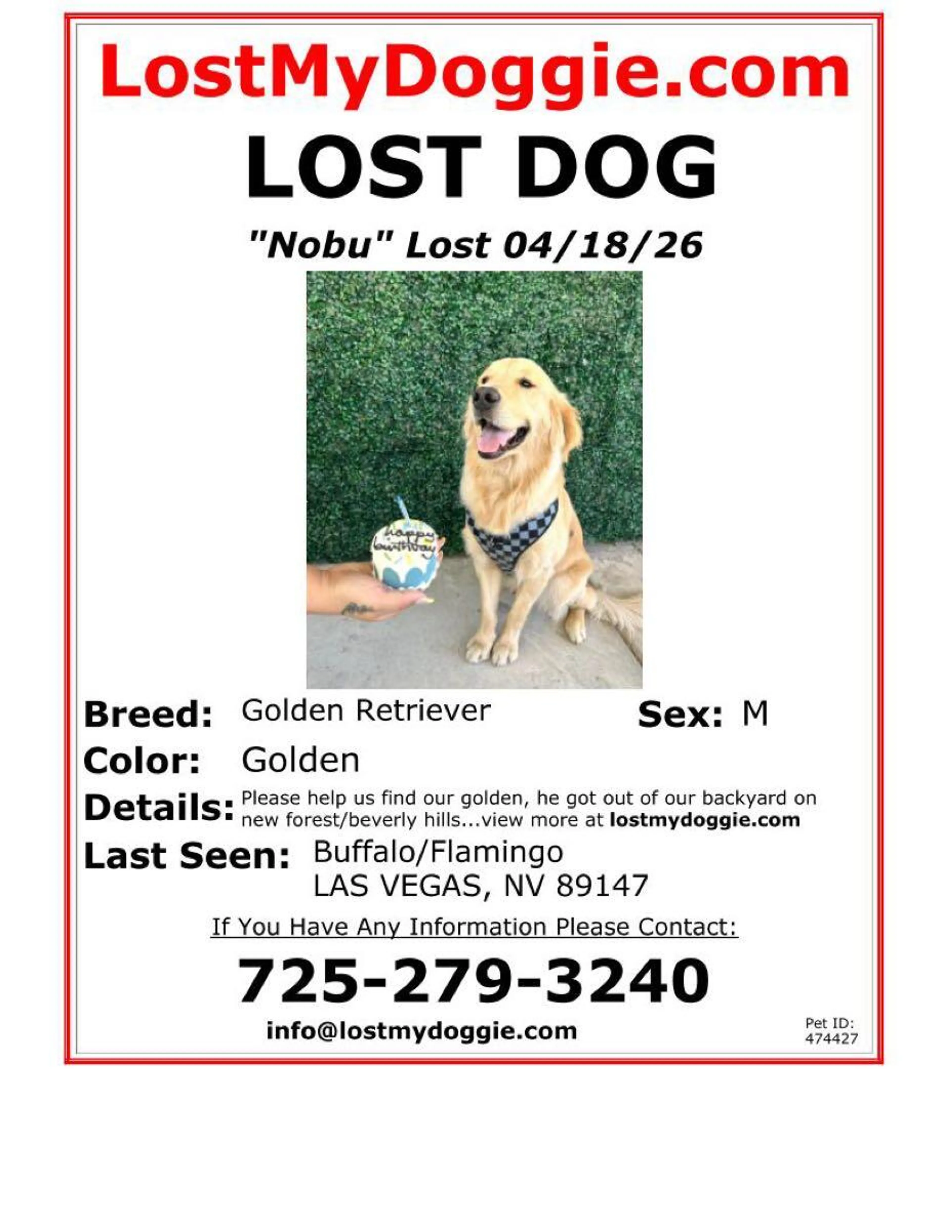 Lost pet