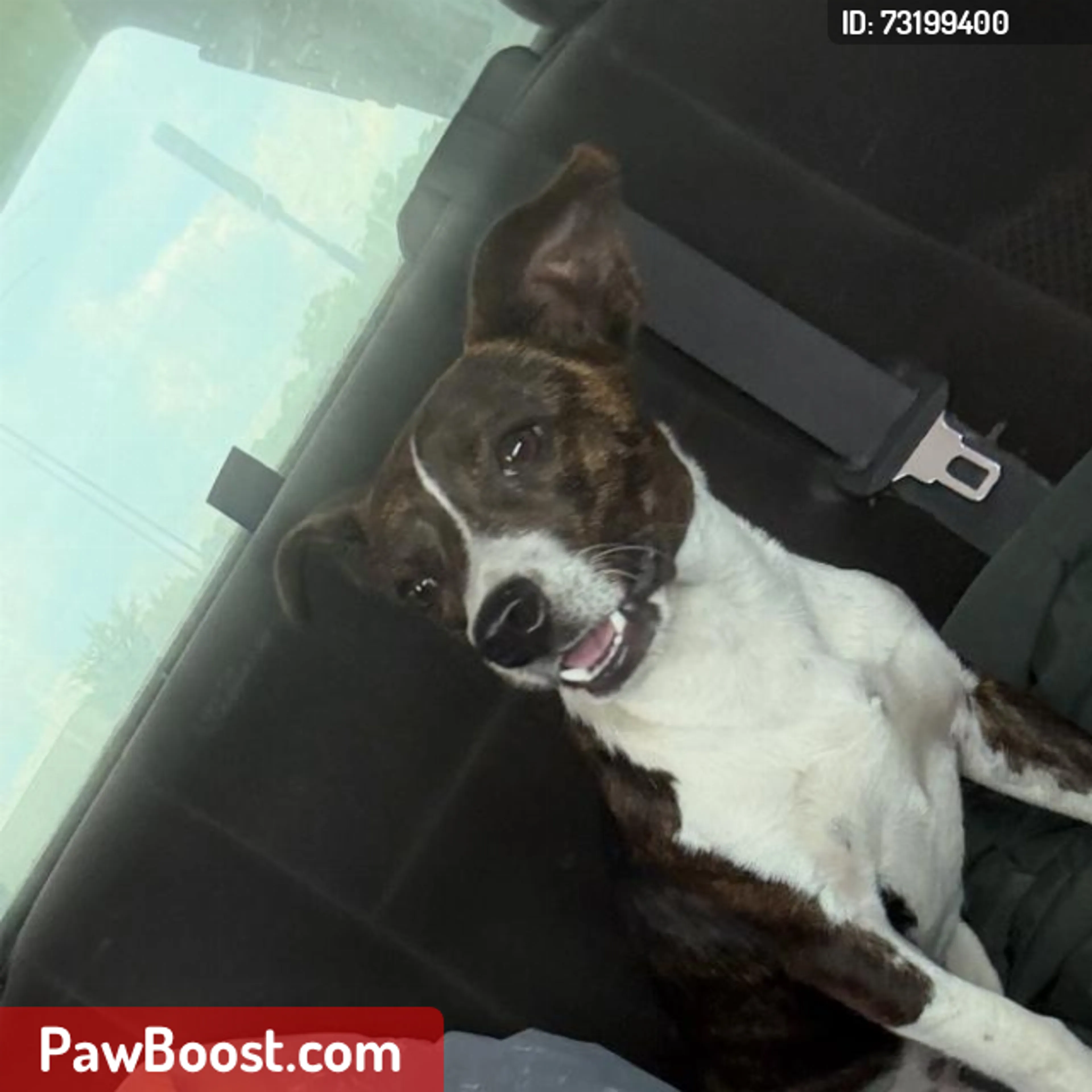 cdn image