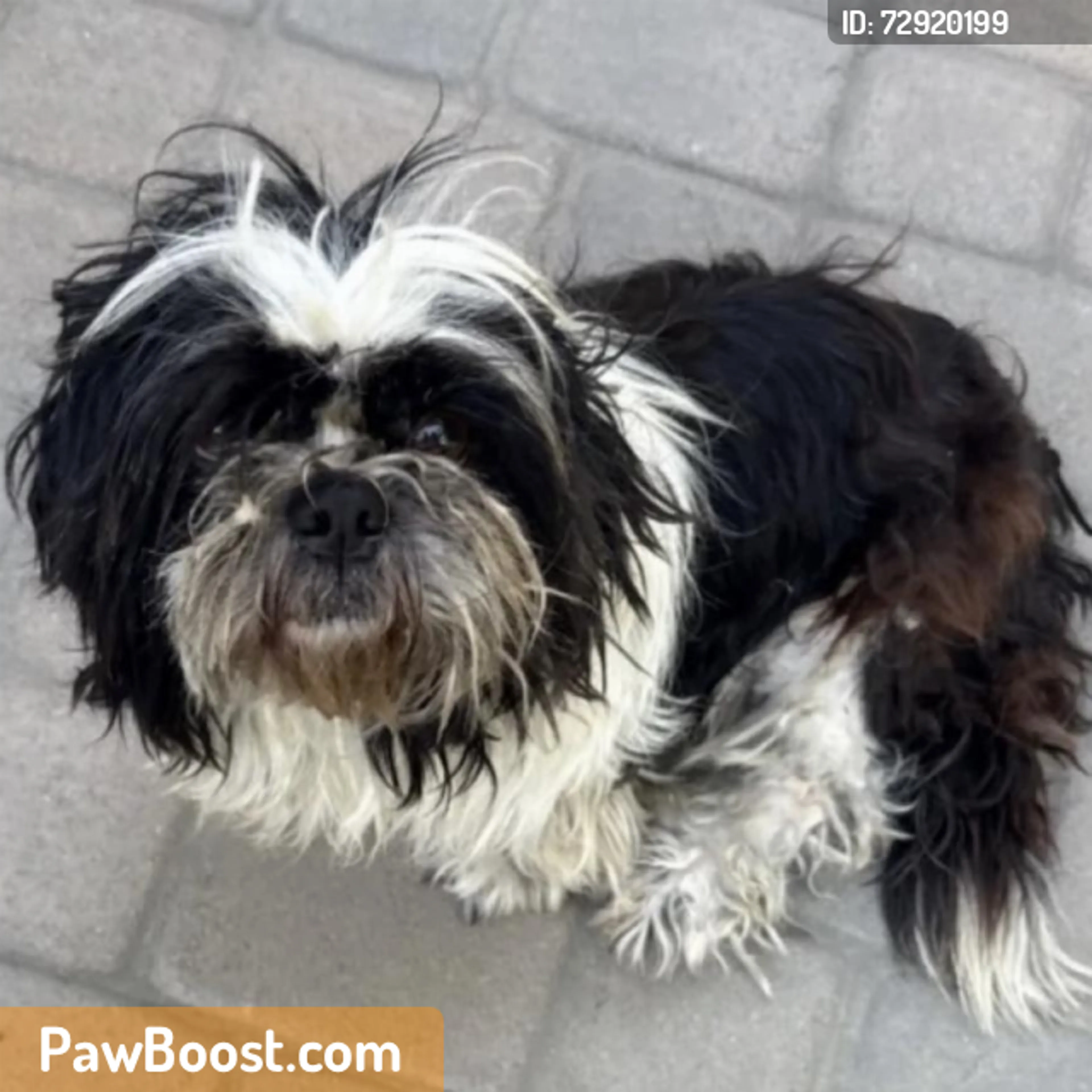 cdn image