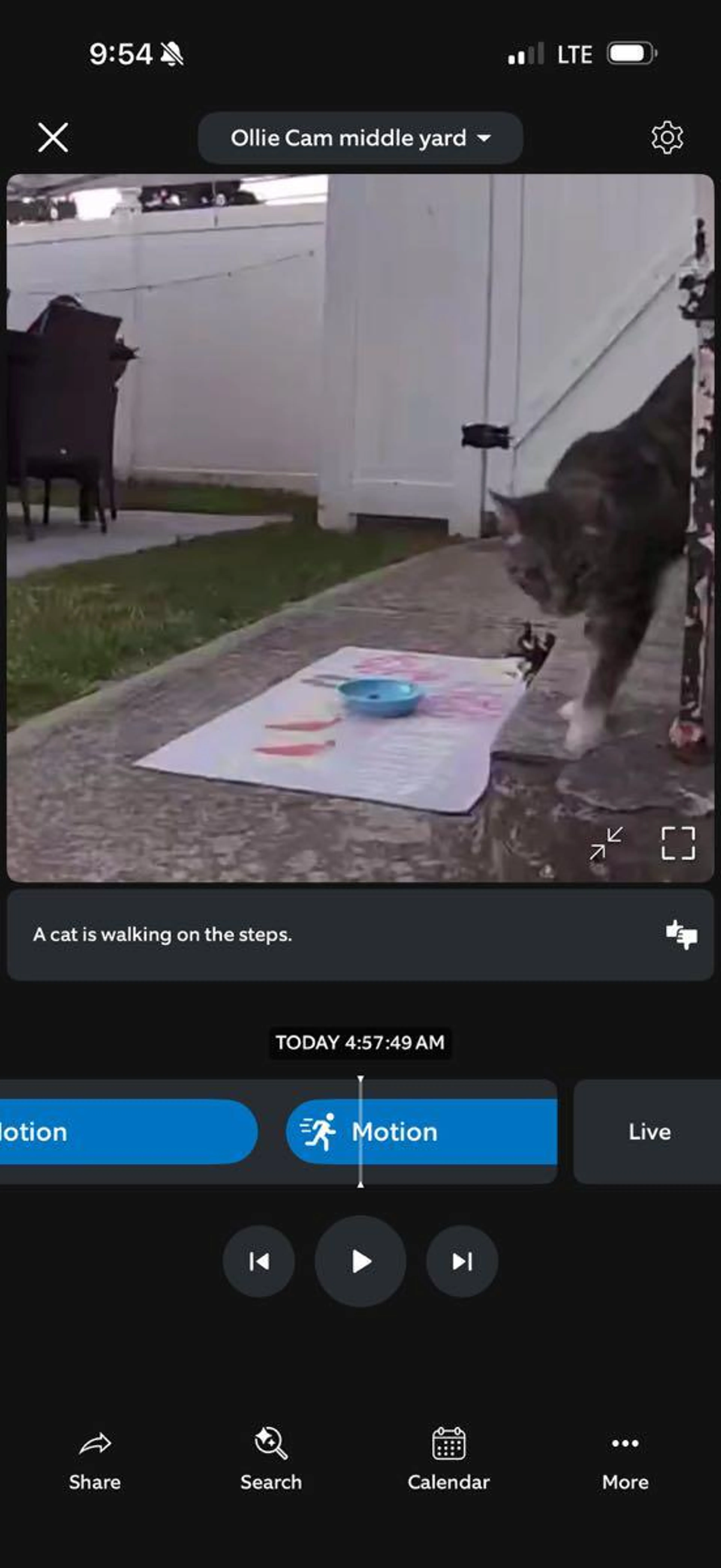 cdn image