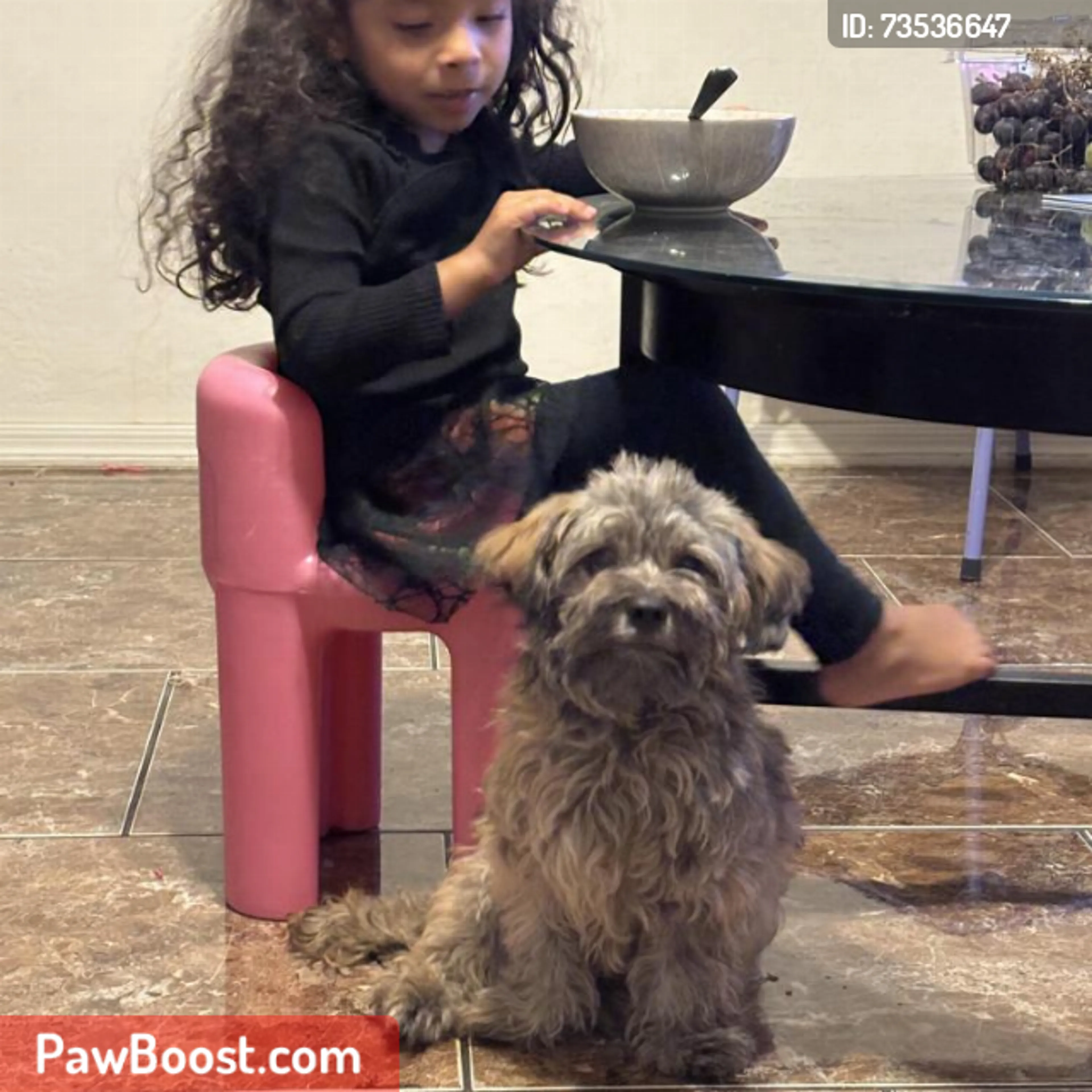 cdn image