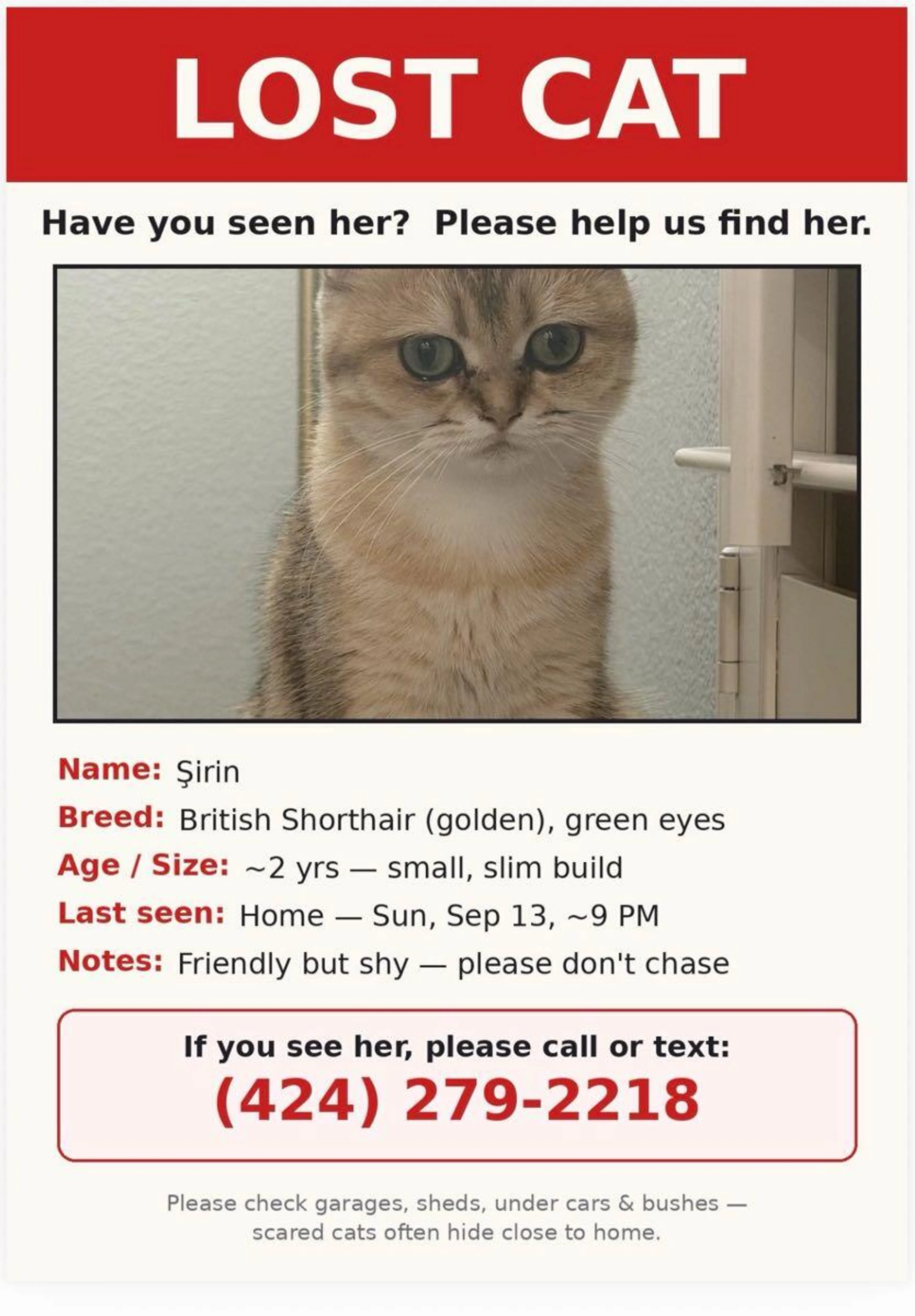 cdn image